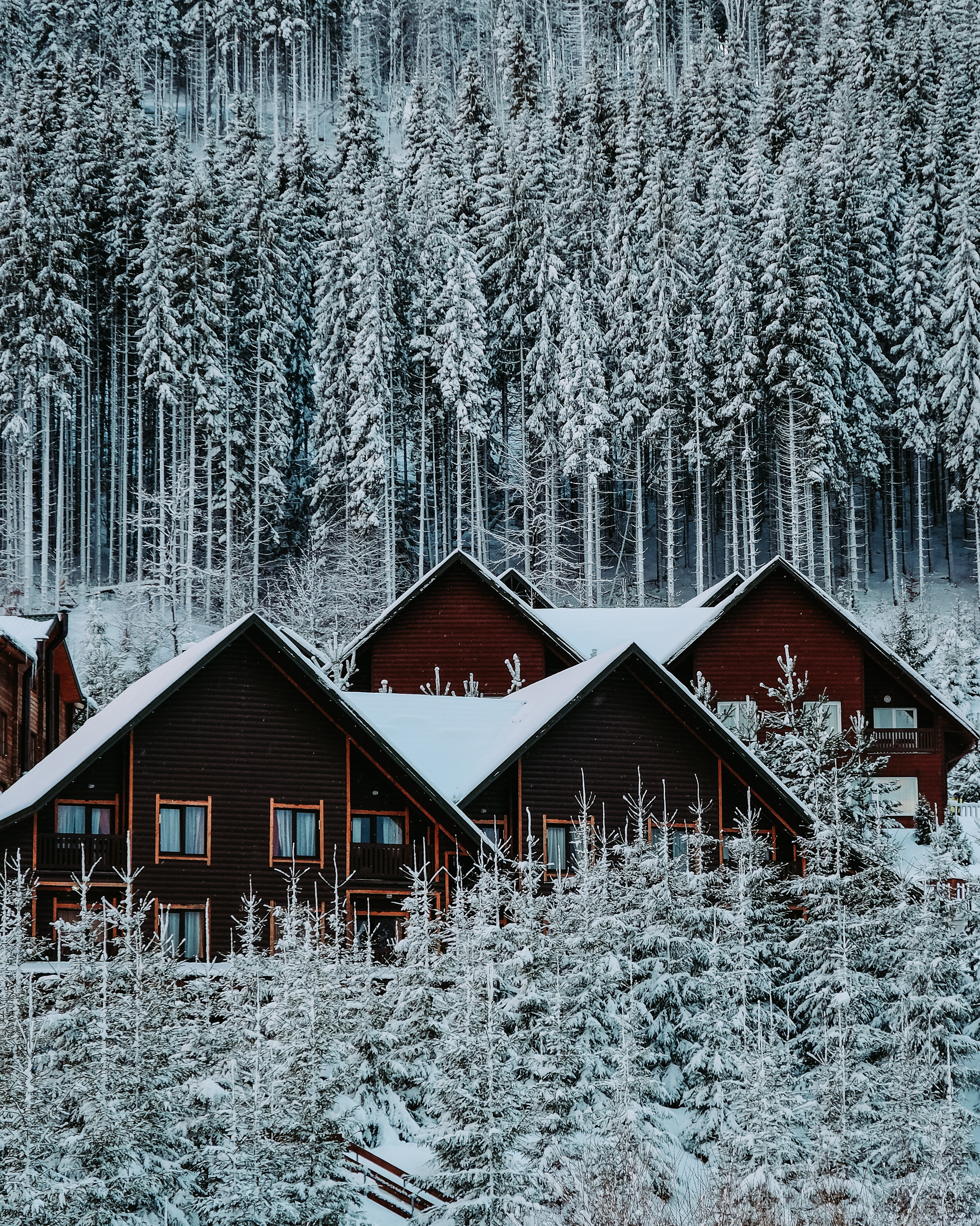 winter, nature, houses, snow, forest 4K for PC