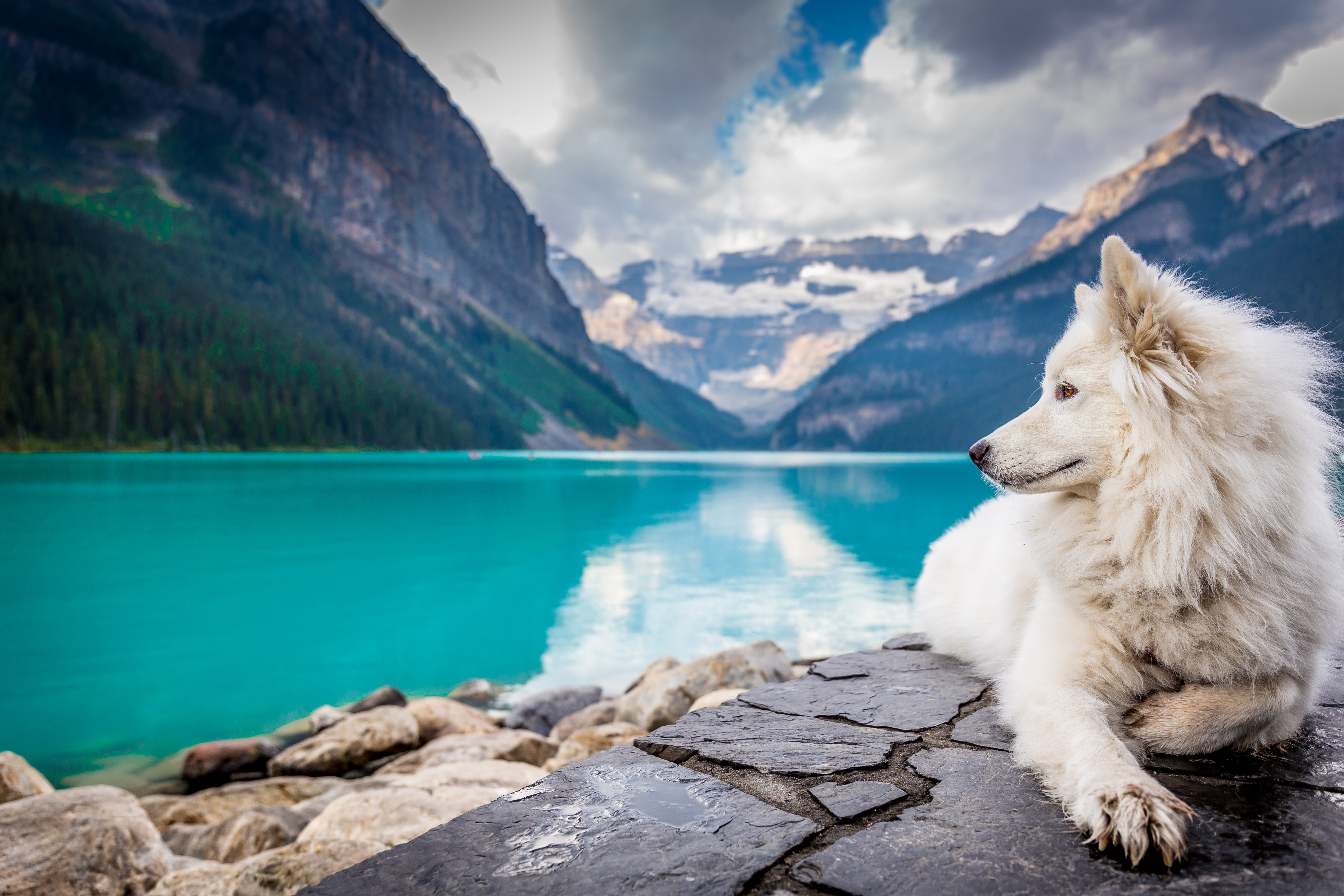 456032 Hintergrundbilder und Banff Nationalpark Bilder auf dem Desktop. Laden Sie  Bildschirmschoner kostenlos auf den PC herunter