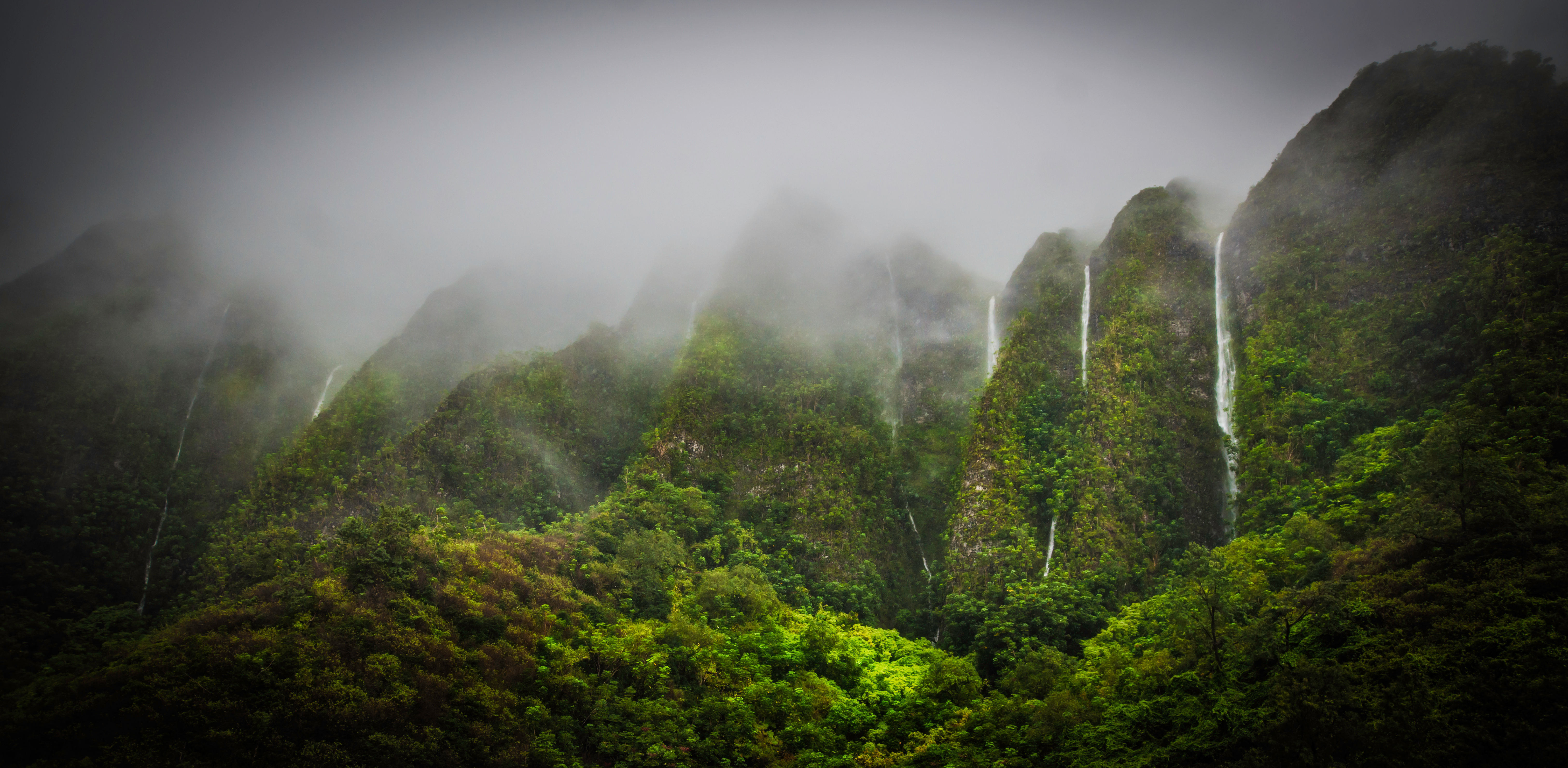 1522724 Bild herunterladen hawaii, dschungel, erde/natur, wasserfall, nebel, gebirge, oahu, tropen, wasserfälle - Hintergrundbilder und Bildschirmschoner kostenlos