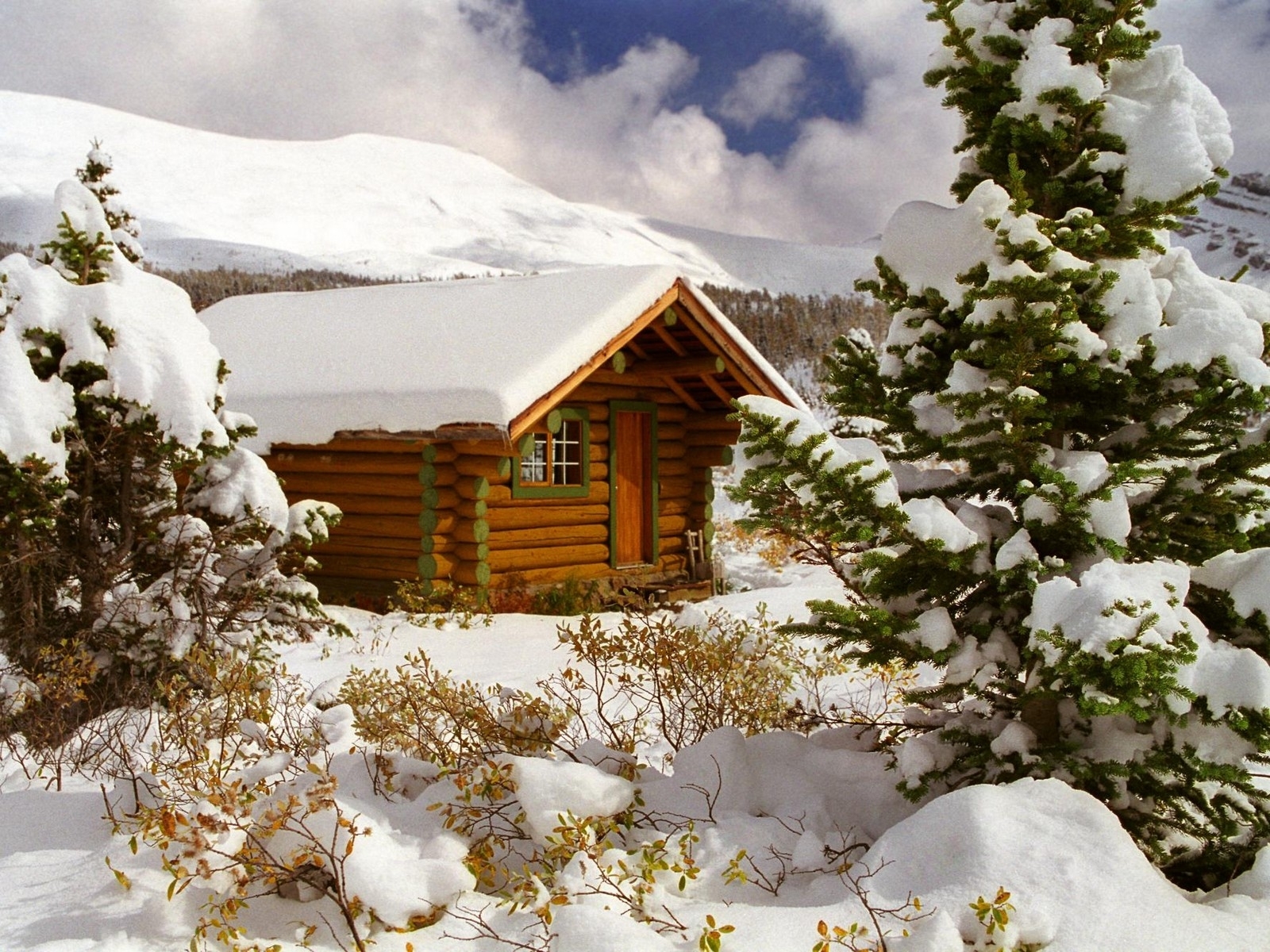 houses, landscape, winter, fir trees download HD wallpaper