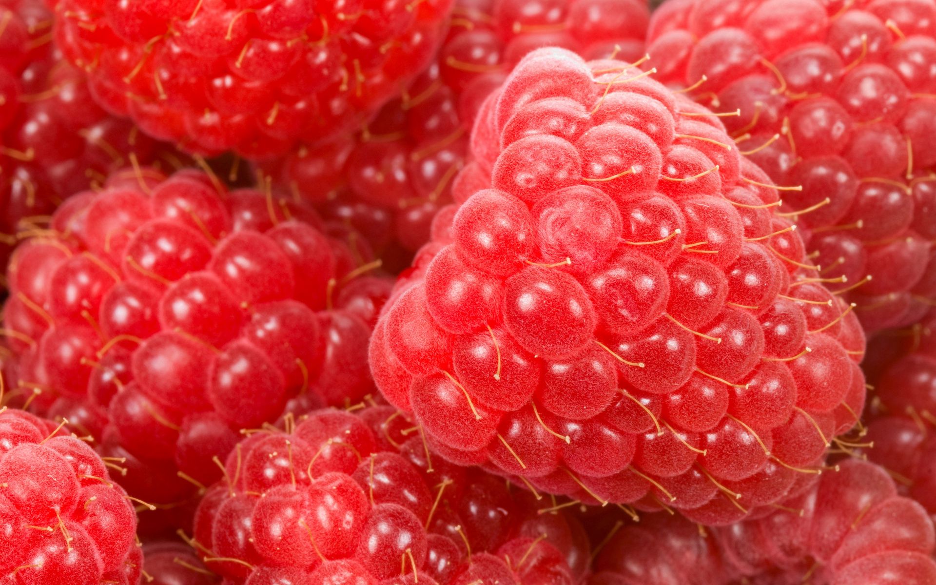 food, raspberry, berry, ripe