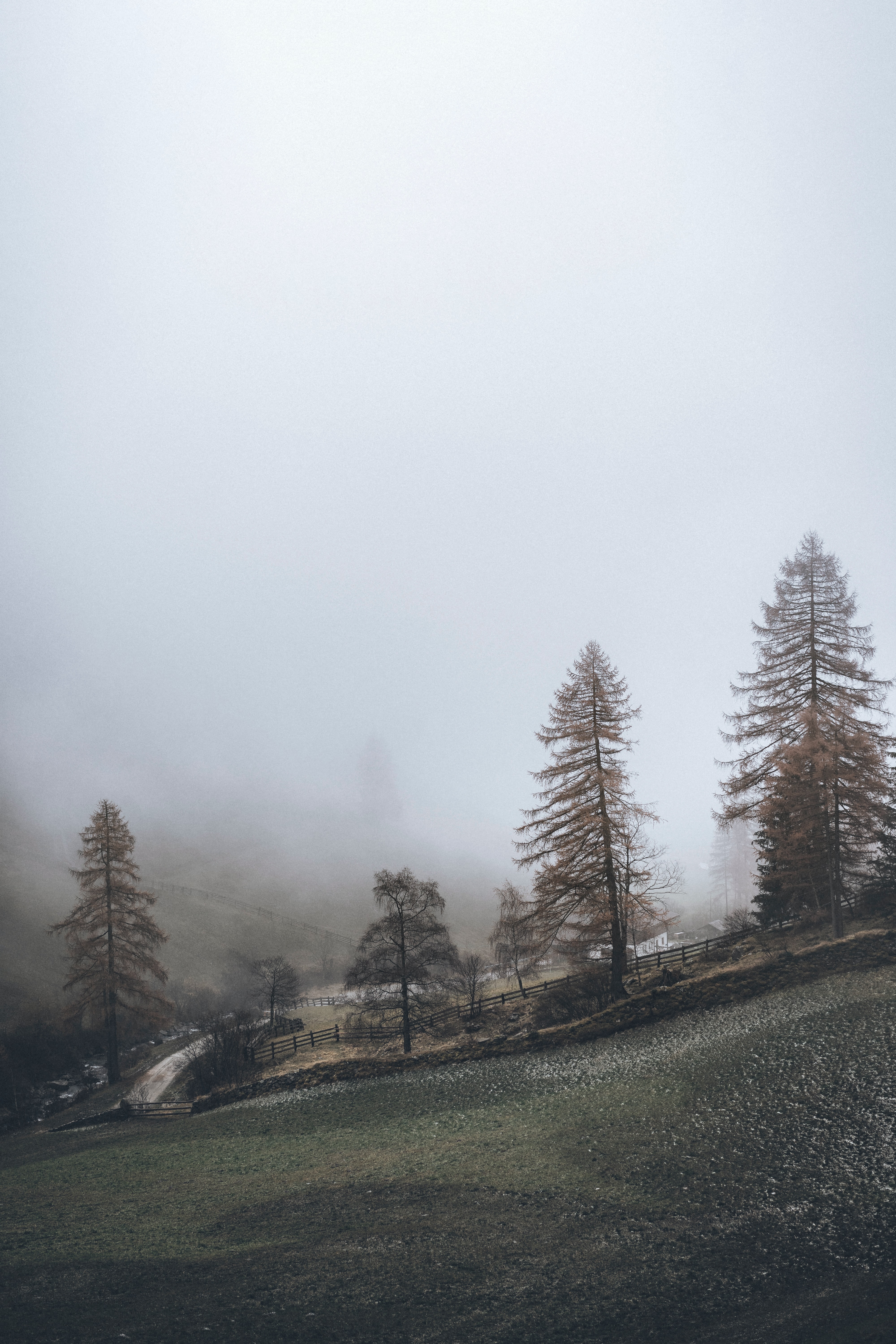 Download mobile wallpaper Fog, Hill, Trees, Fence, Nature for free.