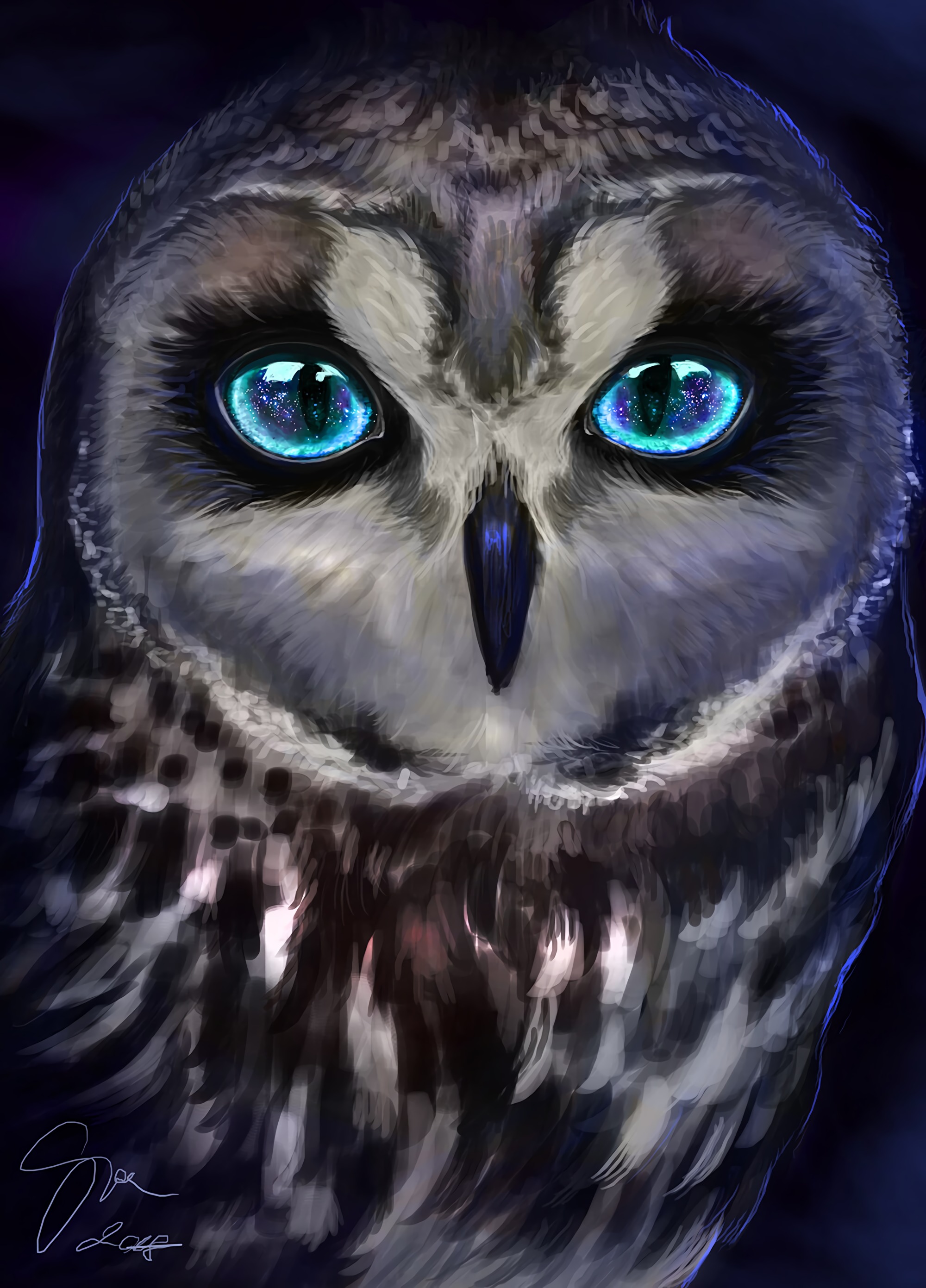 owl, art, bird, sight, opinion Smartphone Background