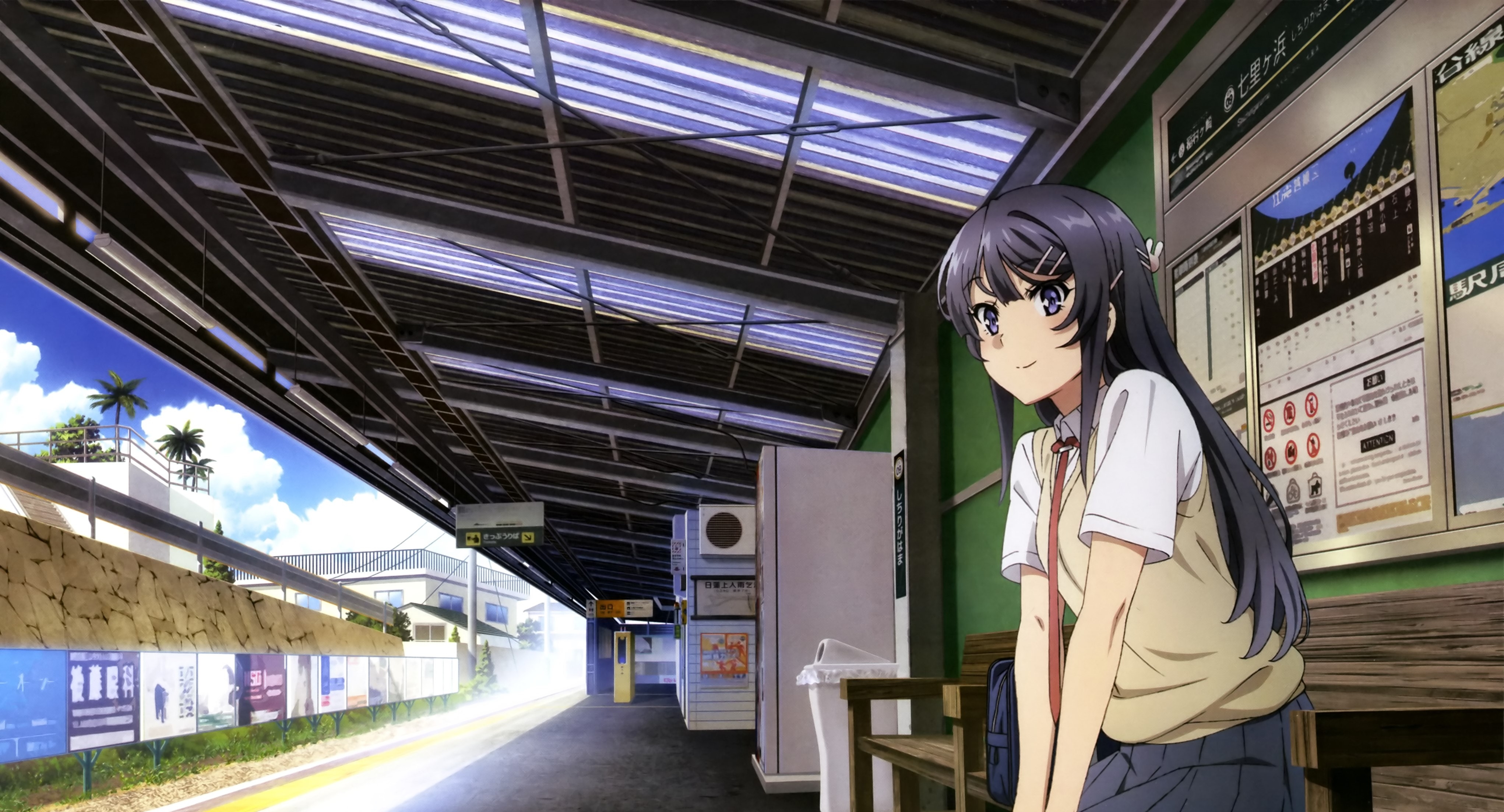 anime, rascal does not dream of bunny girl senpai, mai sakurajima, train station