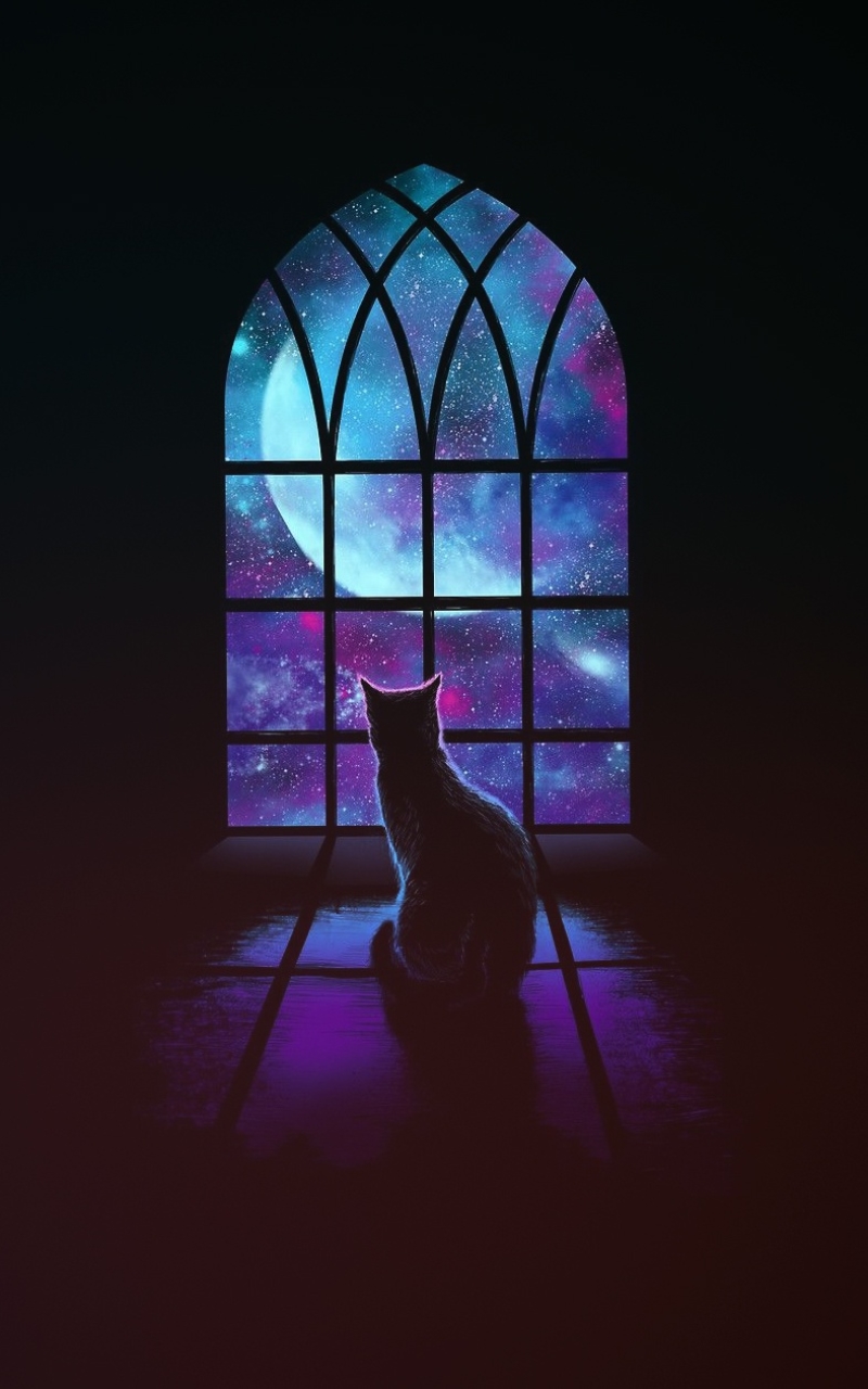 Кот на окне арт
