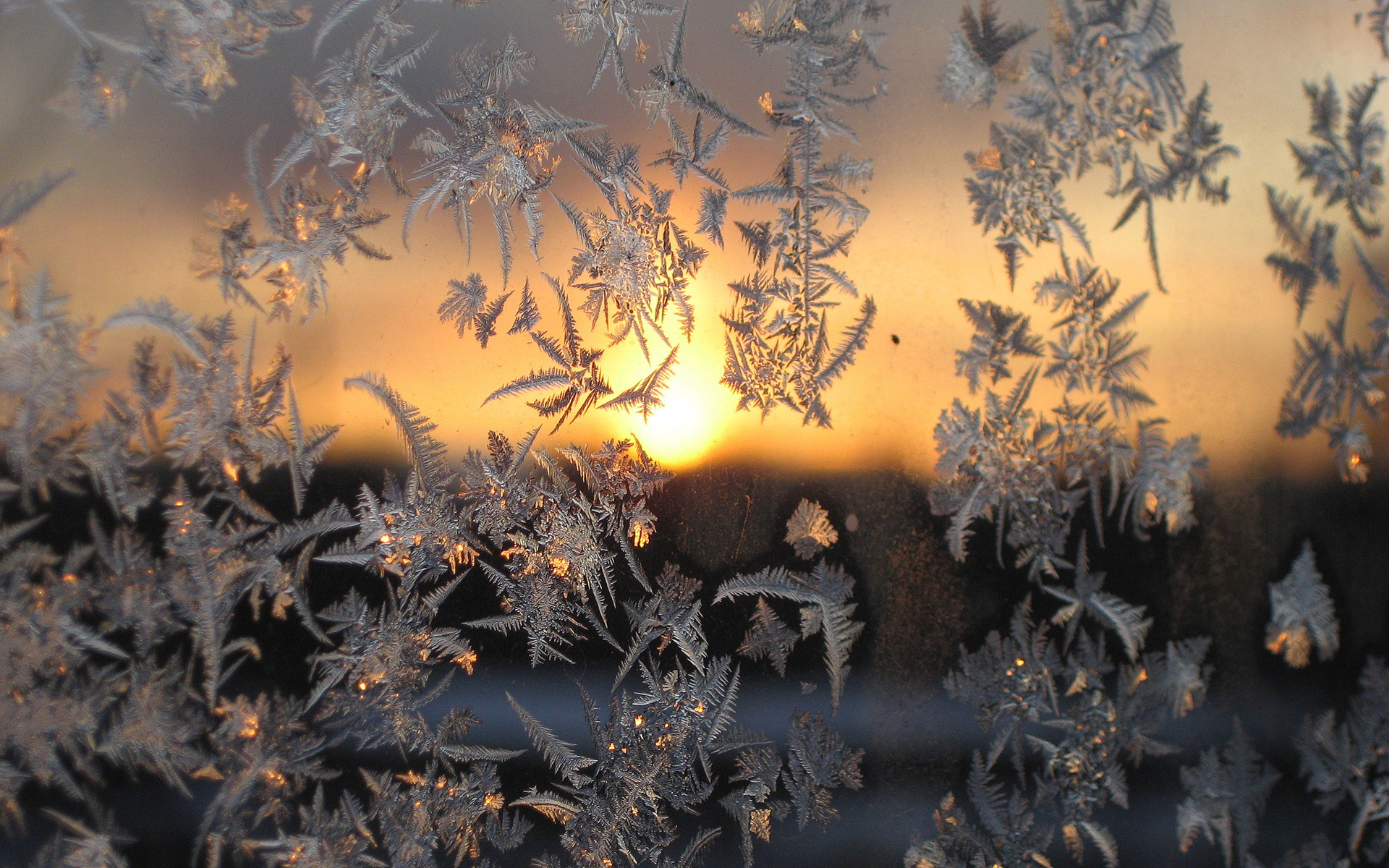 Handy-Wallpaper Winter, Sunset, Eis, Hintergrund kostenlos herunterladen.