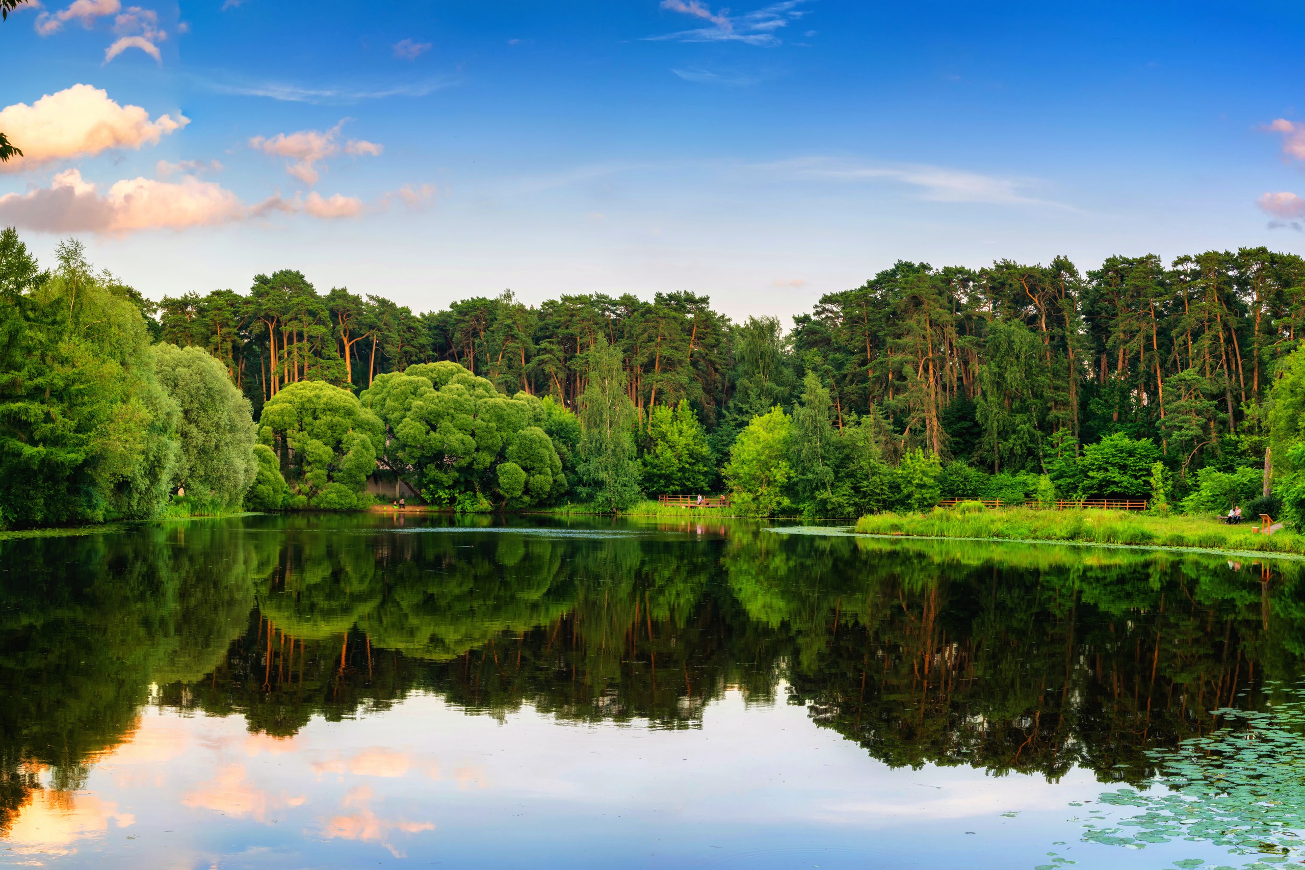 Free download wallpaper Lakes, Lake, Reflection, Forest, Tree, Earth on your PC desktop
