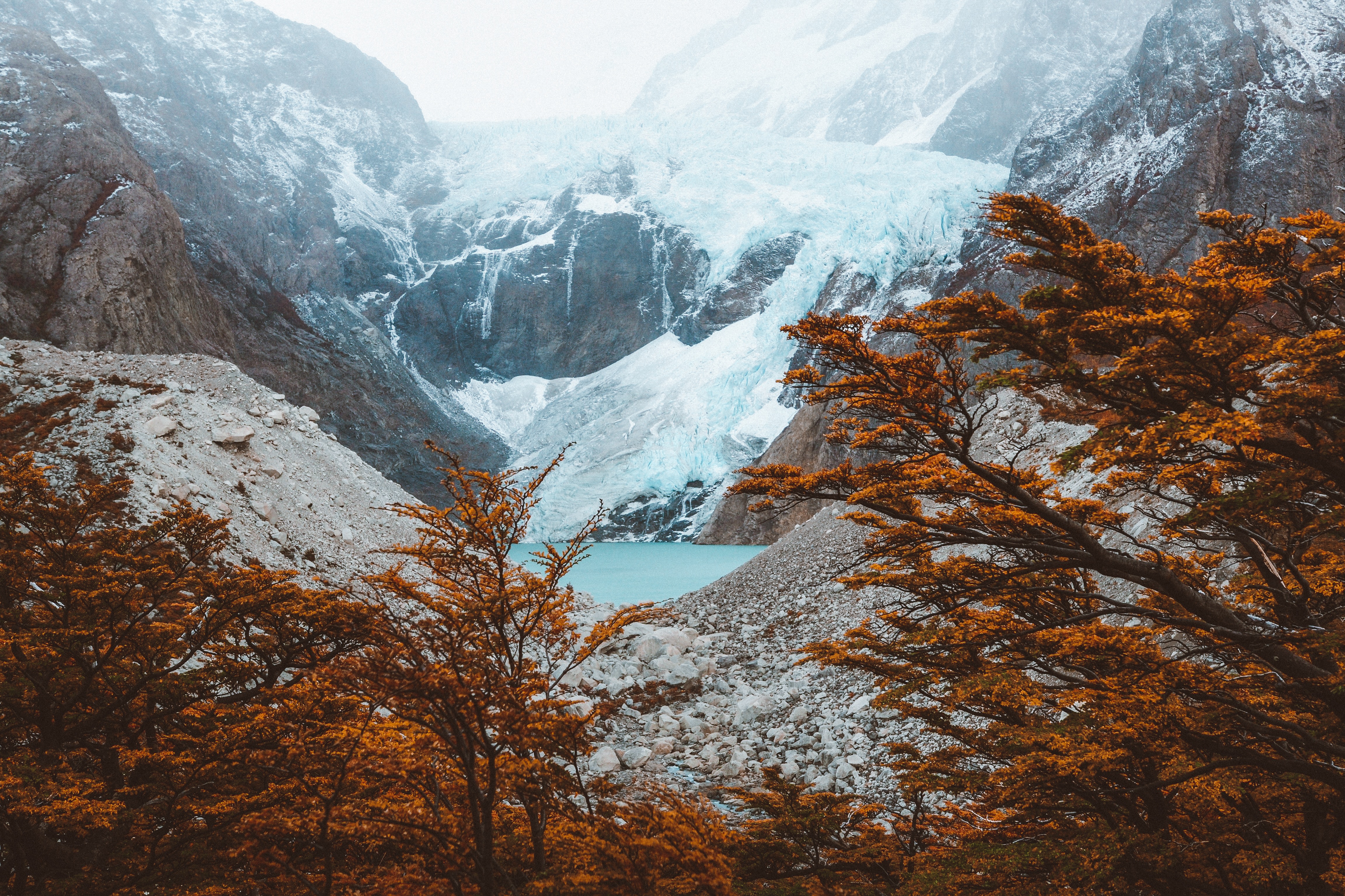 Laden Sie das Bäume, Argentinien, El Chalten, Mountains, See, Natur-Bild kostenlos auf Ihren PC-Desktop herunter