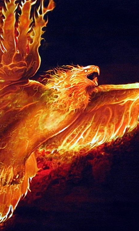 Wings Of Fire Wallpaper  VoBss