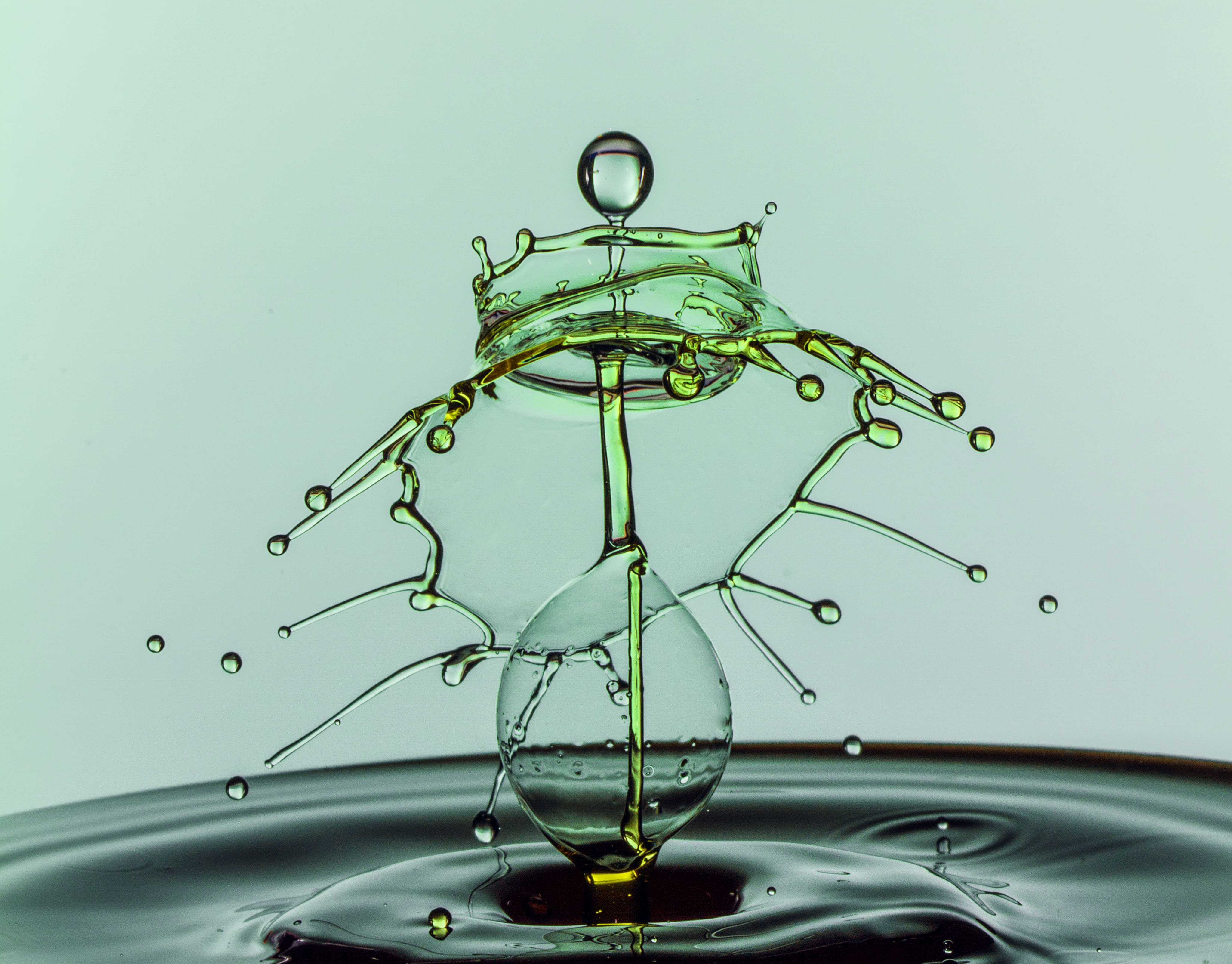 drops, splash, macro, water, spray High Definition image