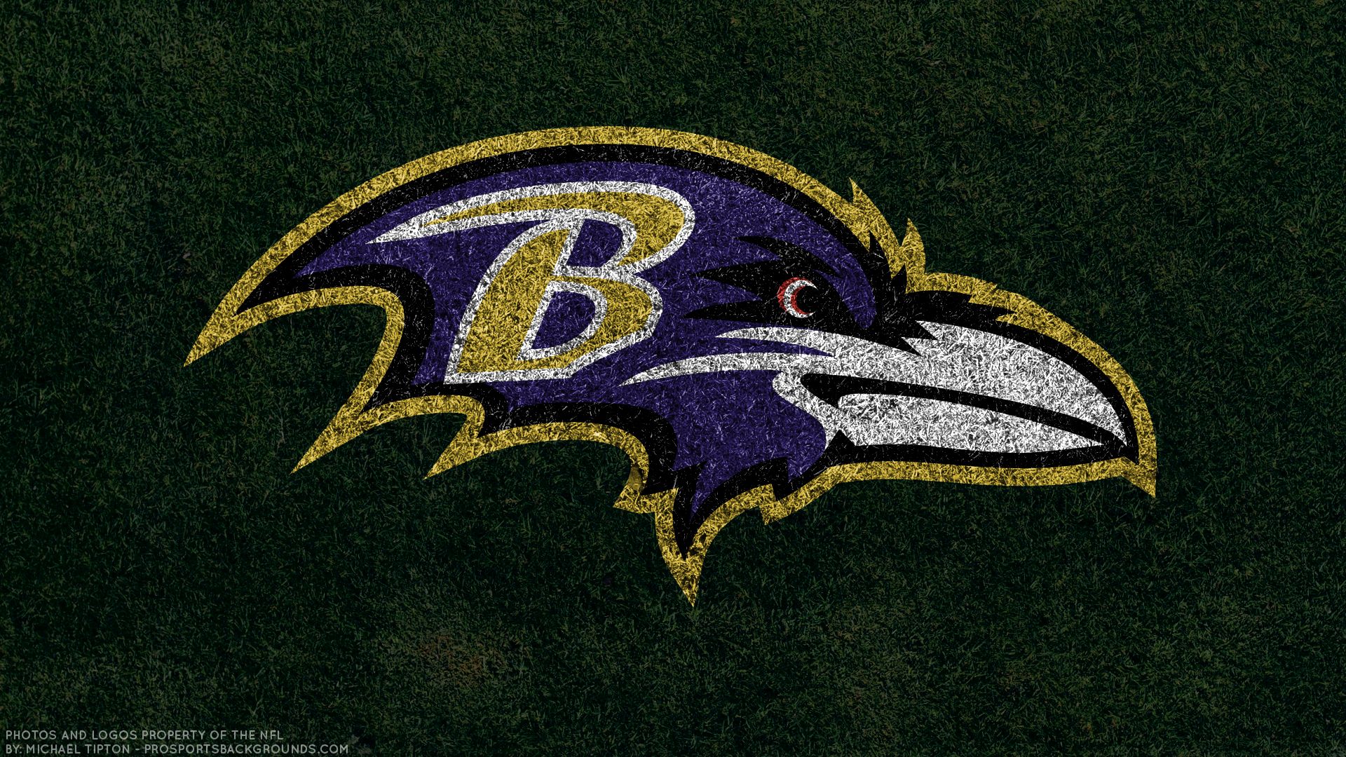 Ravens iPhone wallpaper  Ravens football, Baltimore ravens