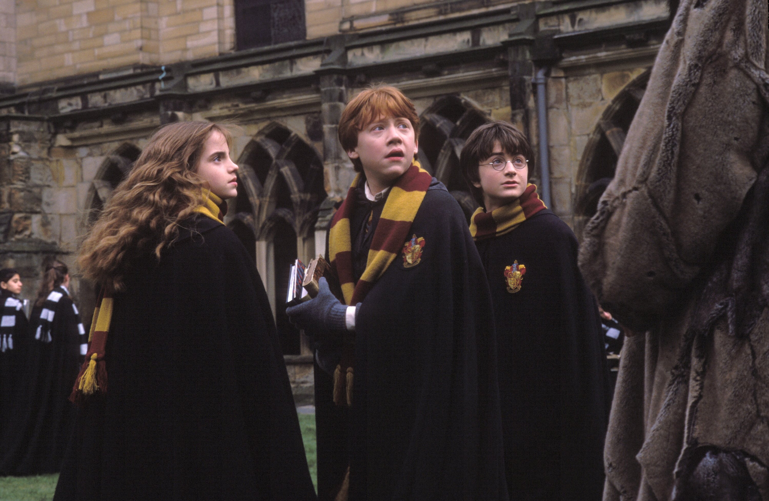 harry potter, hermione granger, harry potter and the chamber of secrets, movie, daniel radcliffe, emma watson, ron weasley, rupert grint