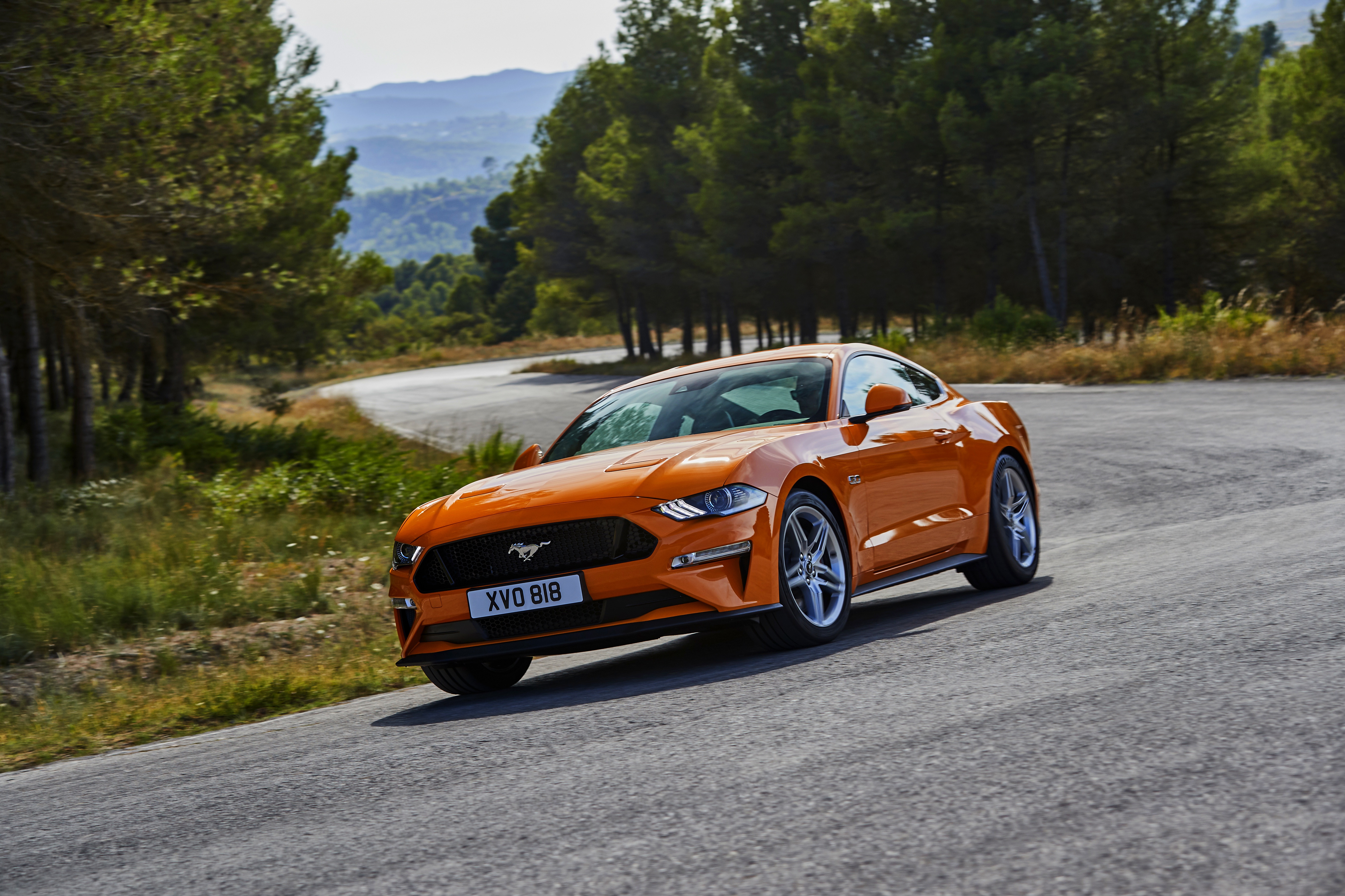 Images & Pictures  Ford Mustang Gt
