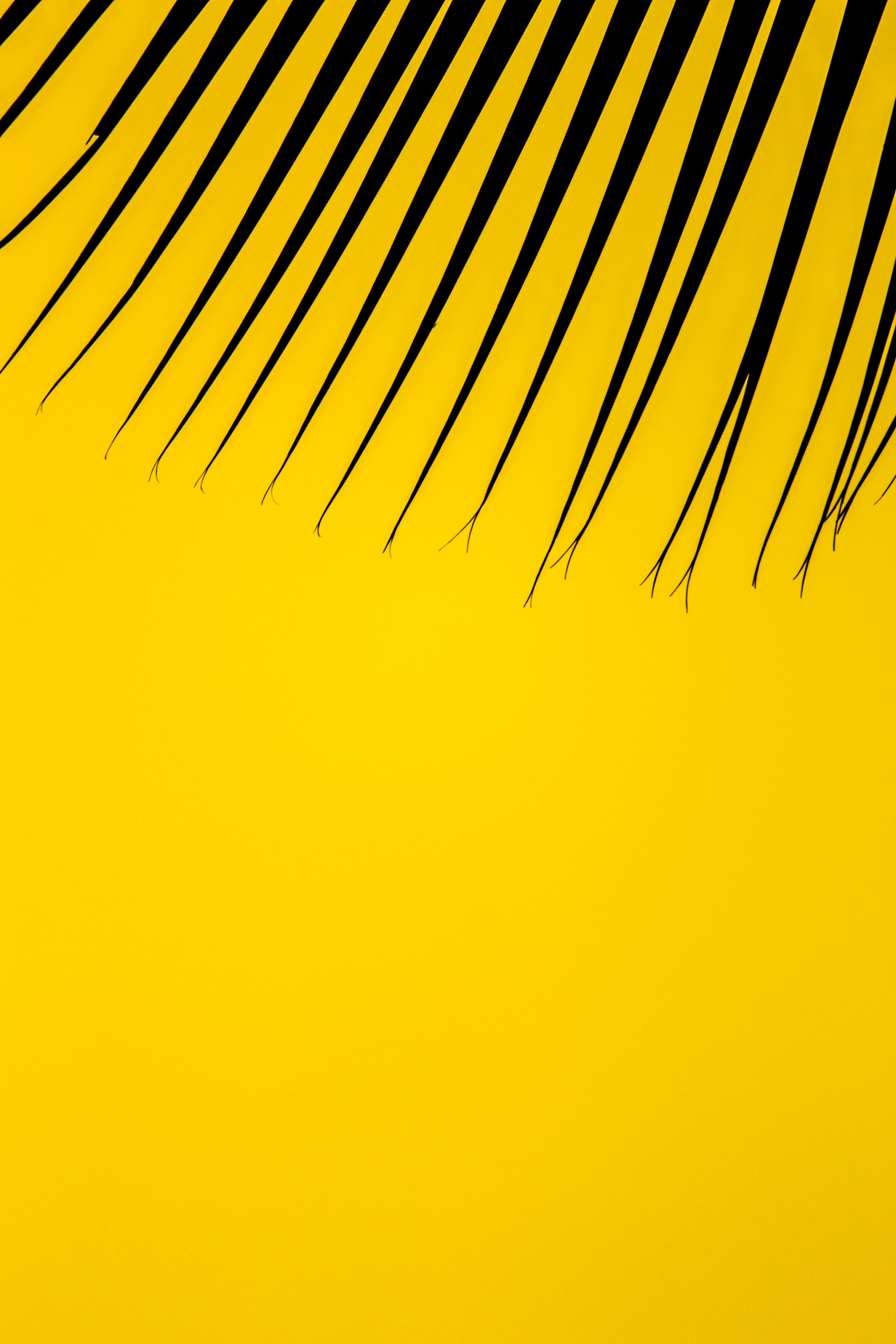 Yellow Background iPhone Background