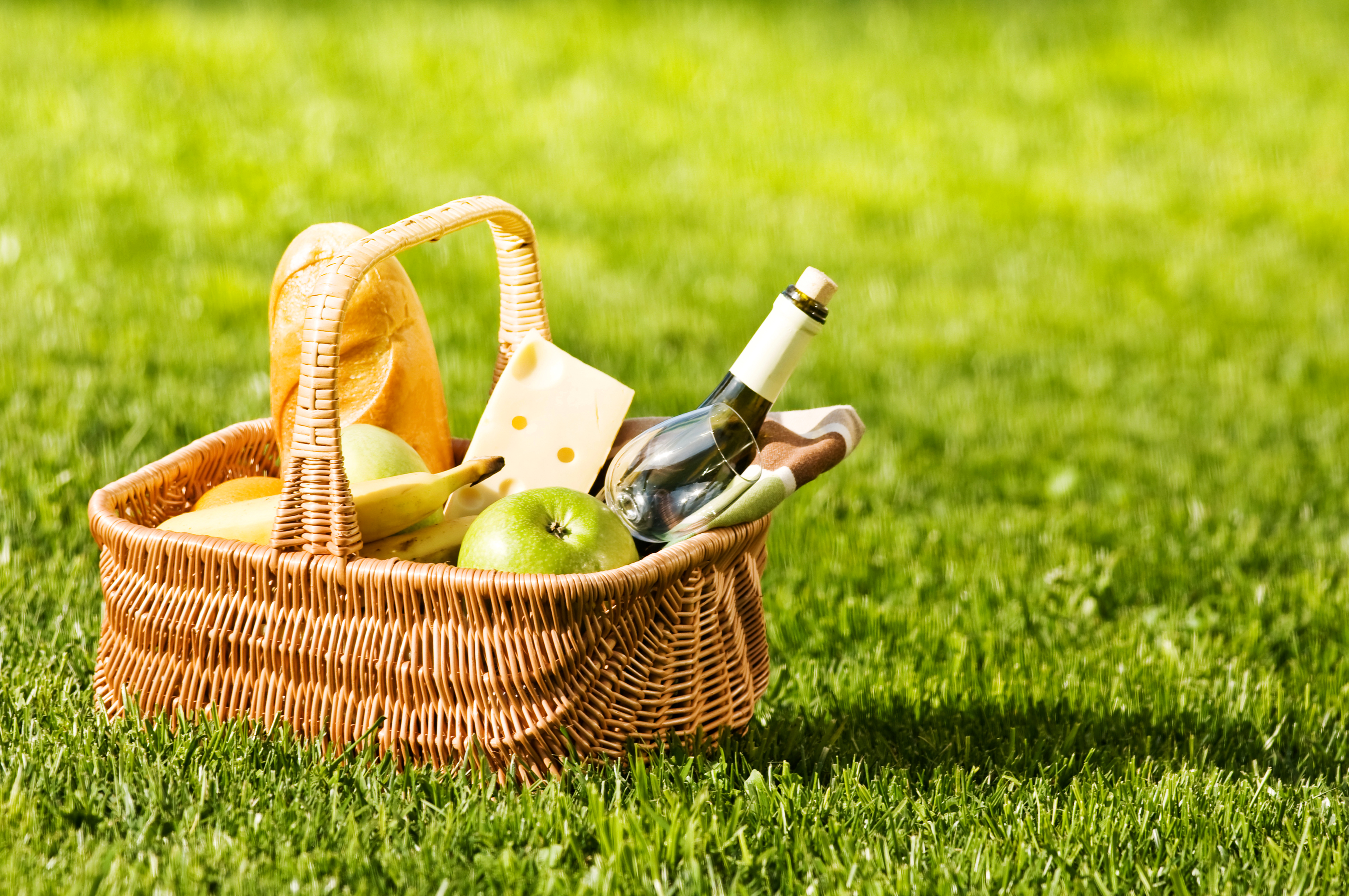 photography, picnic, basket, food, grass