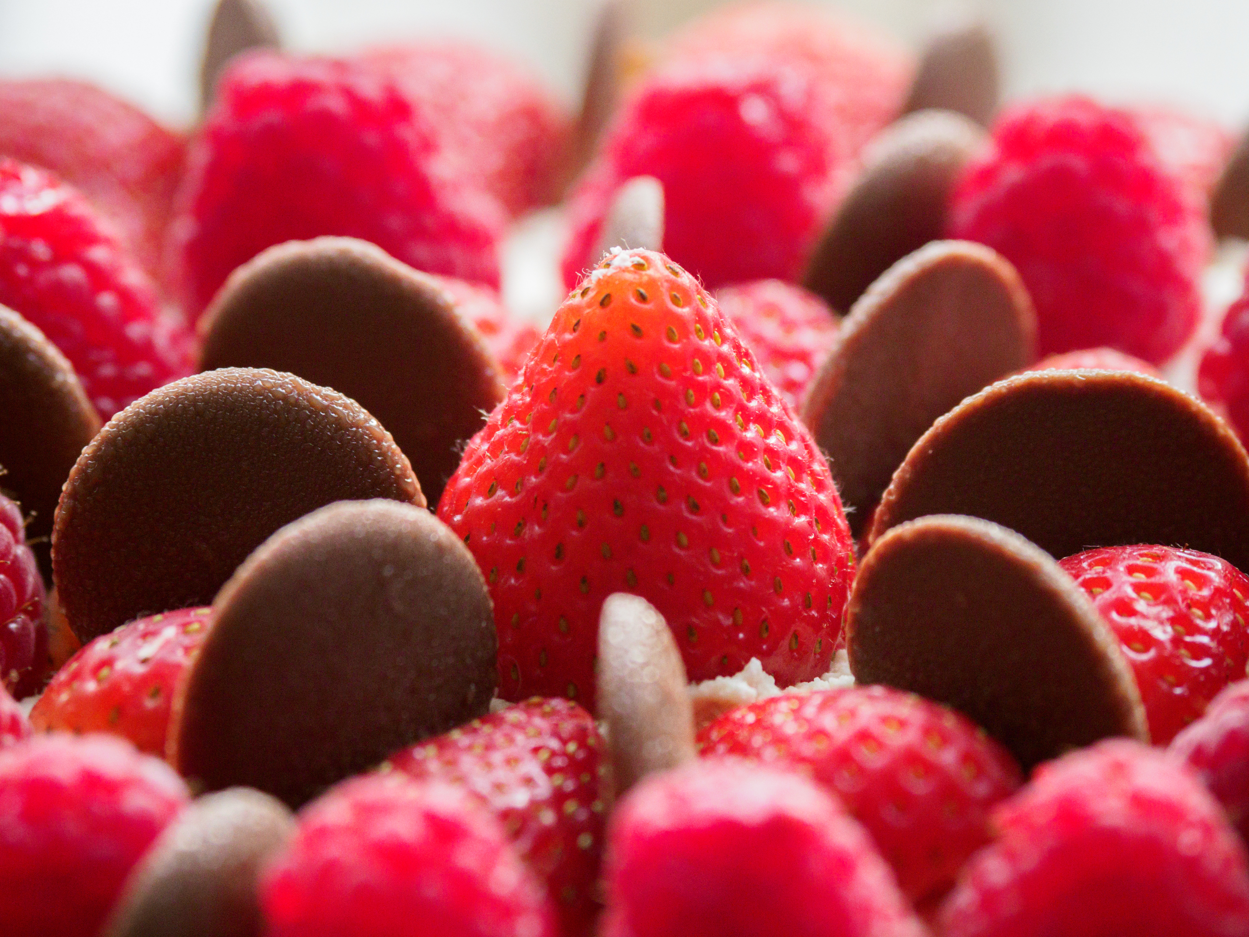 Laden Sie das Lebensmittel, Erdbeere, Schokolade, Wüste, Berries-Bild kostenlos auf Ihren PC-Desktop herunter