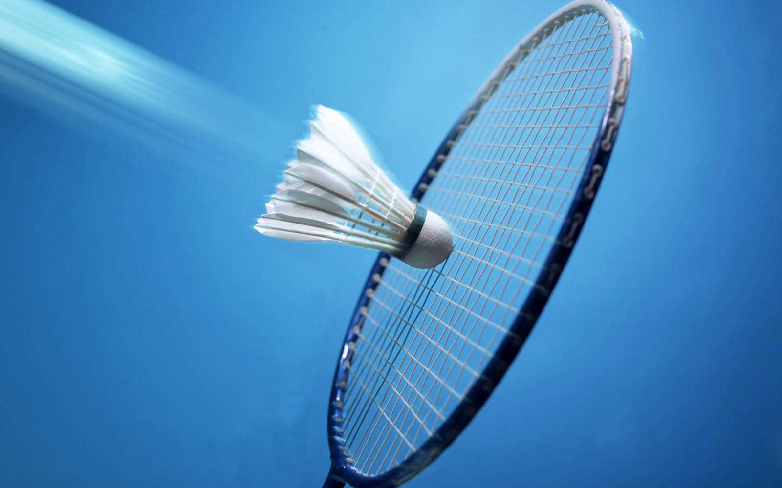Badminton Court Hire Horsham | Badminton Classes | Bluecoats