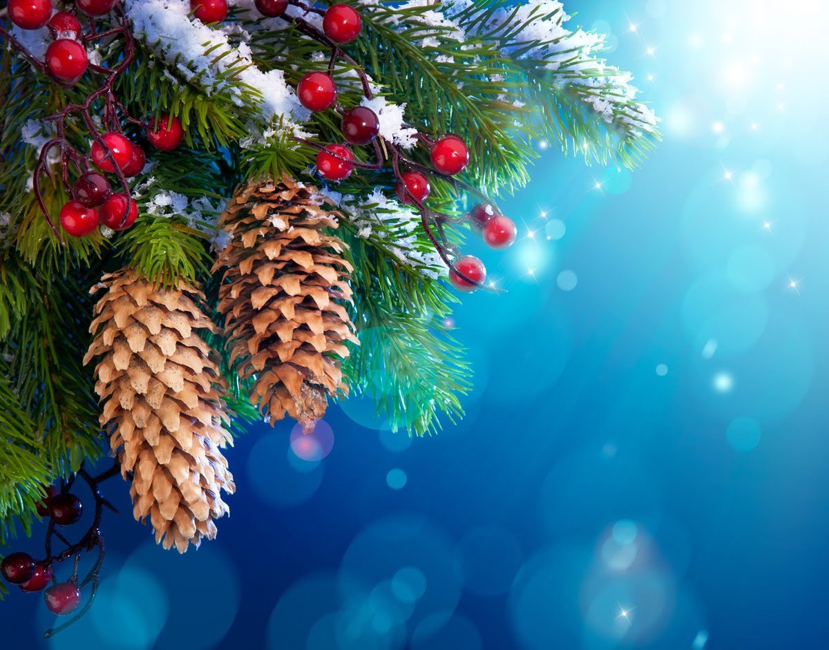 fir trees, christmas xmas, holidays, background, cones, new year Full HD