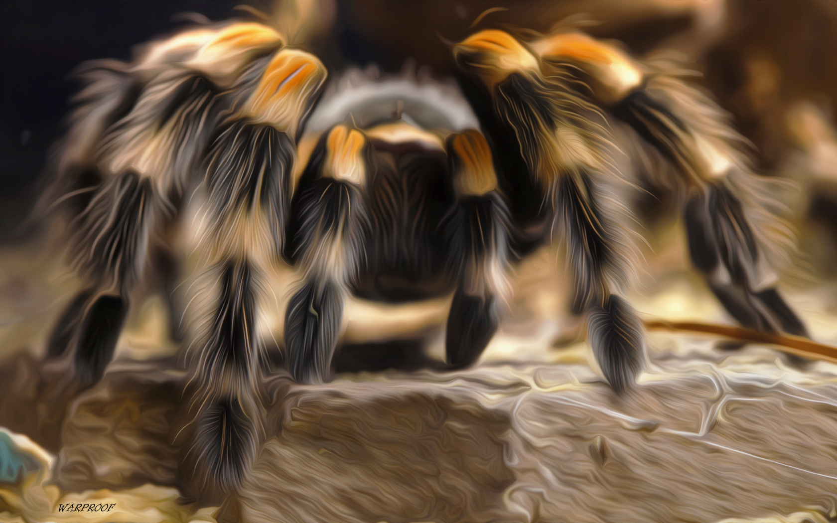 tarantula, animal, oil painting, spider, spiders