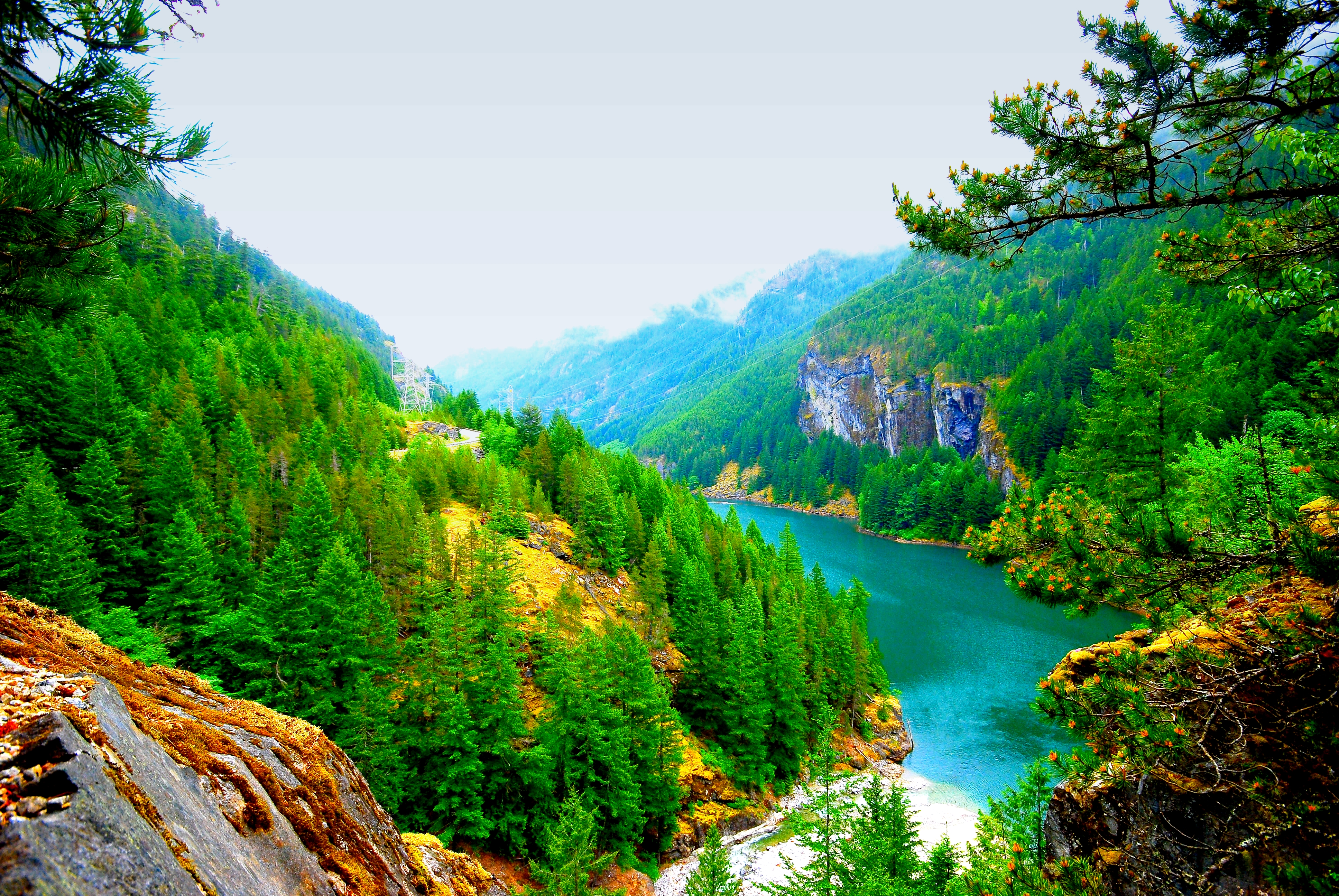 Между гор и леса. Табиат манзараси. Река Урсул горный Алтай. Табиат манзараси Швейцария. Национальный парк Сочинский горные леса.