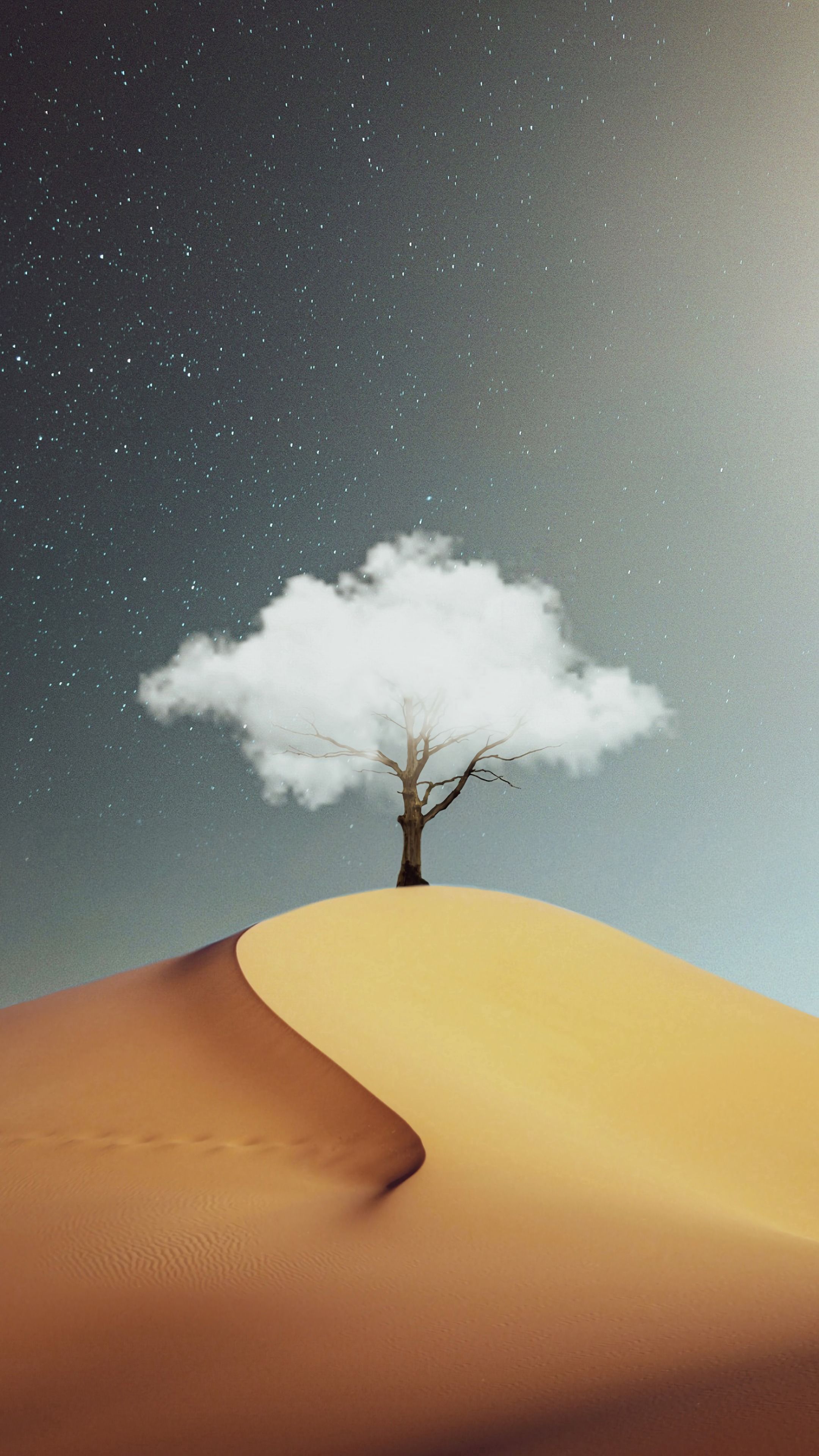 cloud, tree, desert, sand, miscellanea, miscellaneous, wood, hill 32K