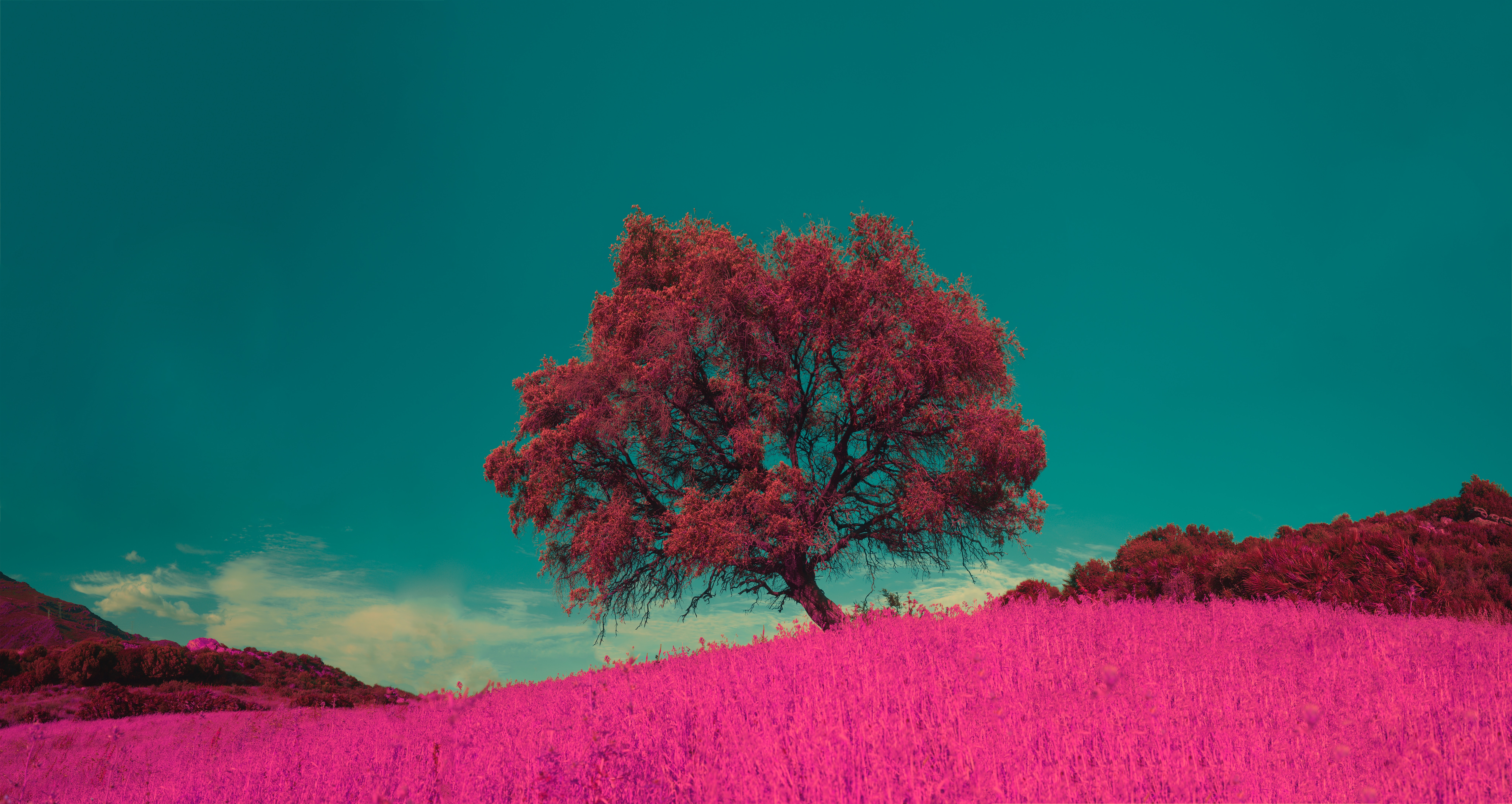 110435 скачать картинку розовый, природа, трава, дерево, фотошоп, одинокий - обои и заставки бесплатно