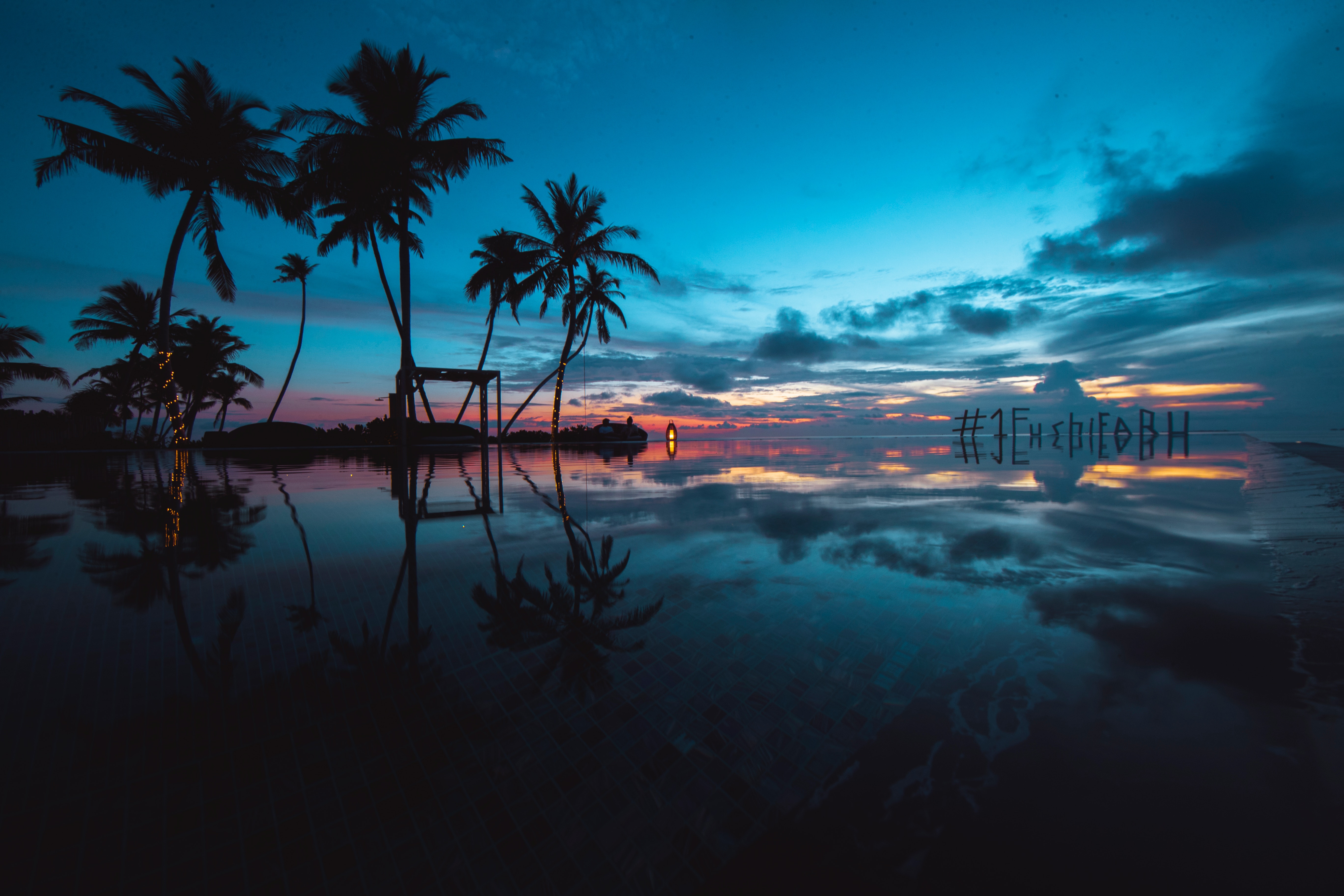sunset, ocean, nature, palms, evening, tropics 5K