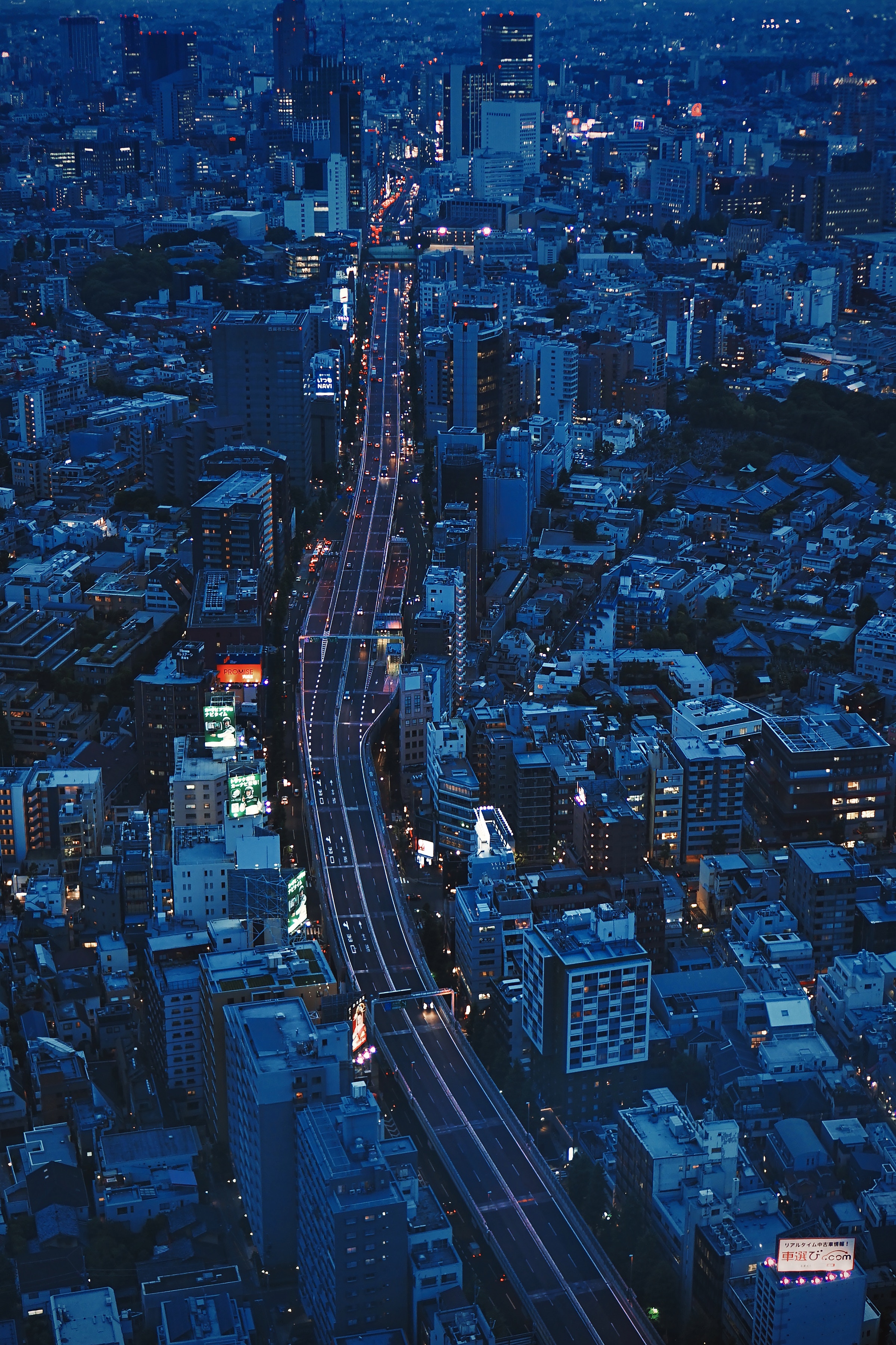 tokyo, overview, city, cities, architecture, view from above, review, evening, japan mobile wallpaper
