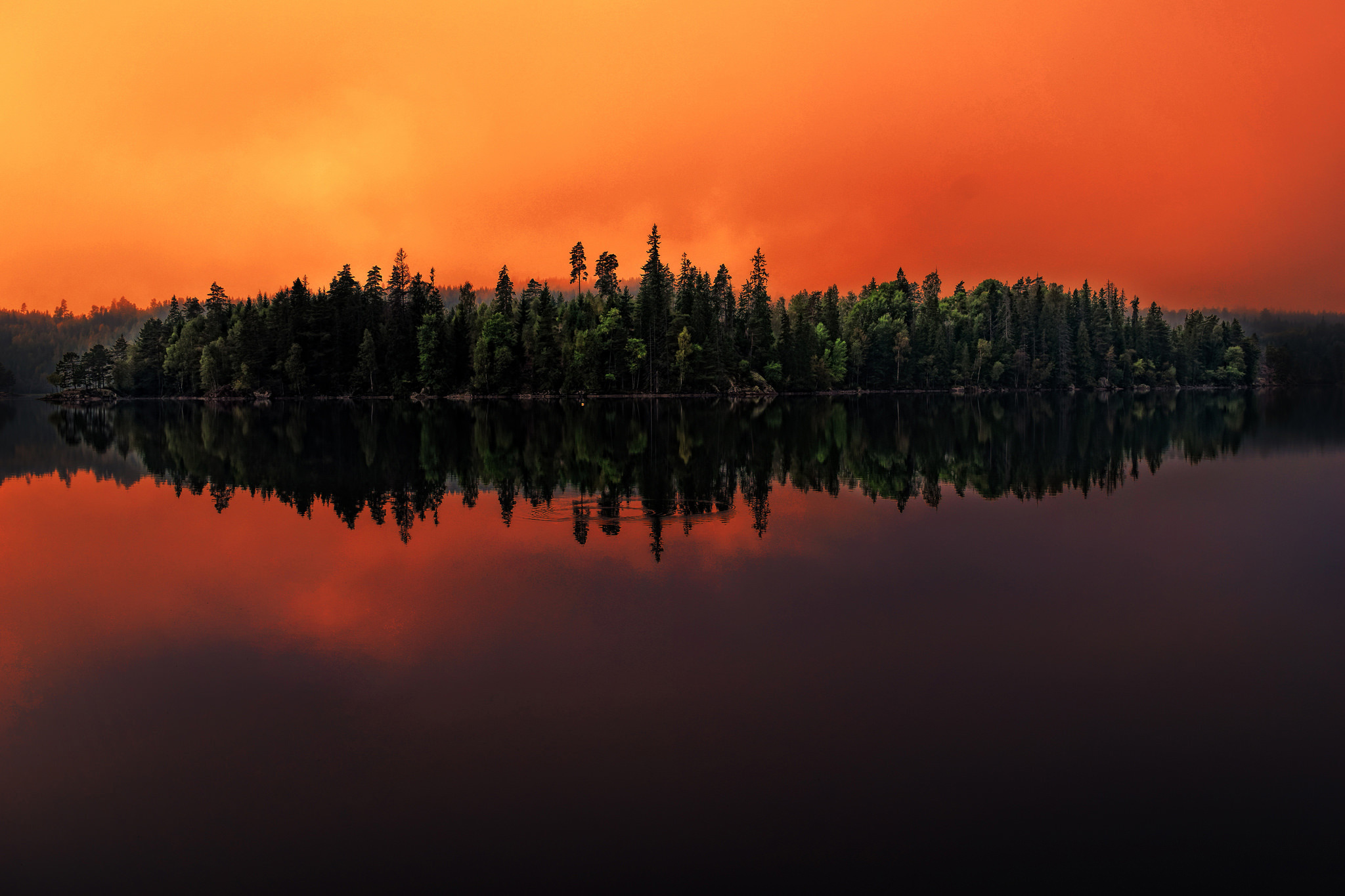 earth, reflection, dusk, forest, lake, nature, orange (color), sweden