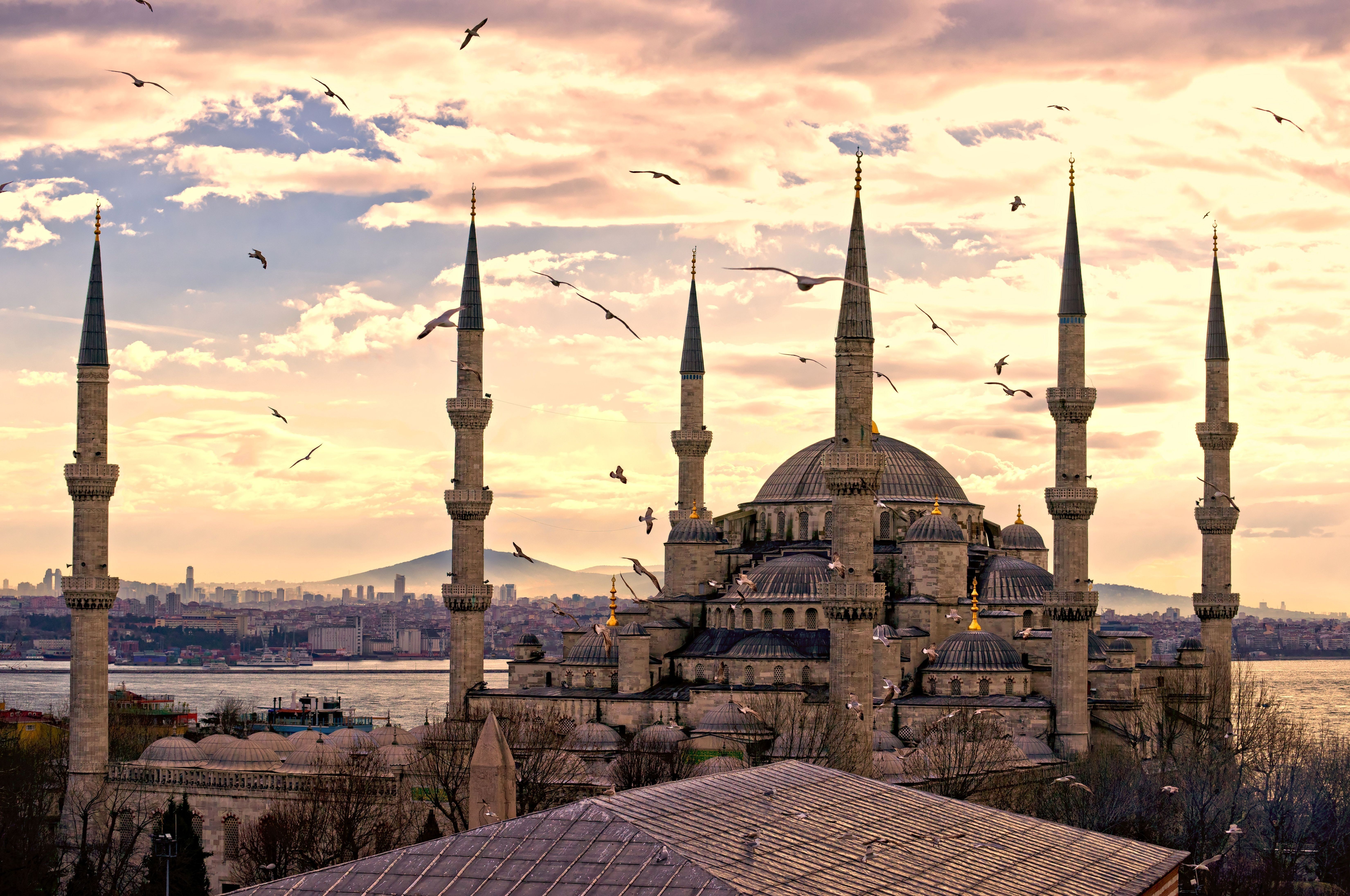 341696 Hintergrundbild herunterladen religiös, süleymaniye moschee, istanbul, seemöve, türkei, moscheen - Bildschirmschoner und Bilder kostenlos