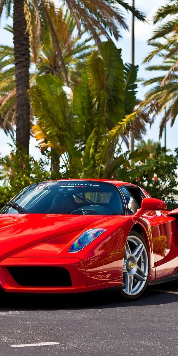 Красная машина телефон. Феррари Энзо. Ferrari Enzo 2016. Ferrari Enzo 2020. Ferrari 988.