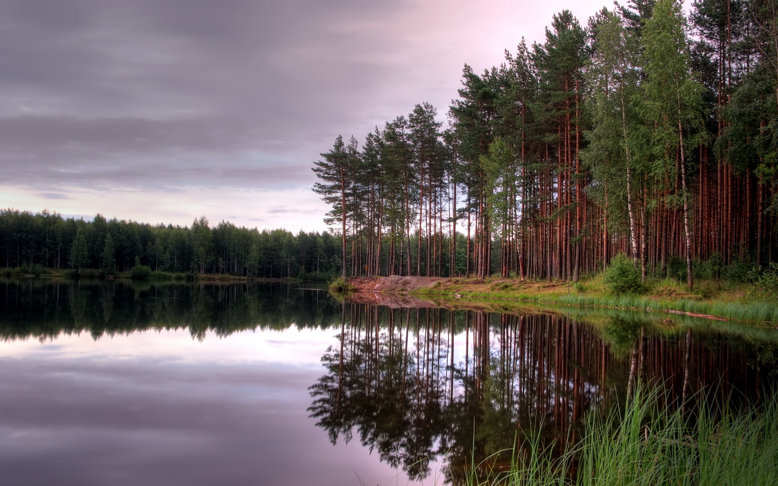 Берег реки в лесу