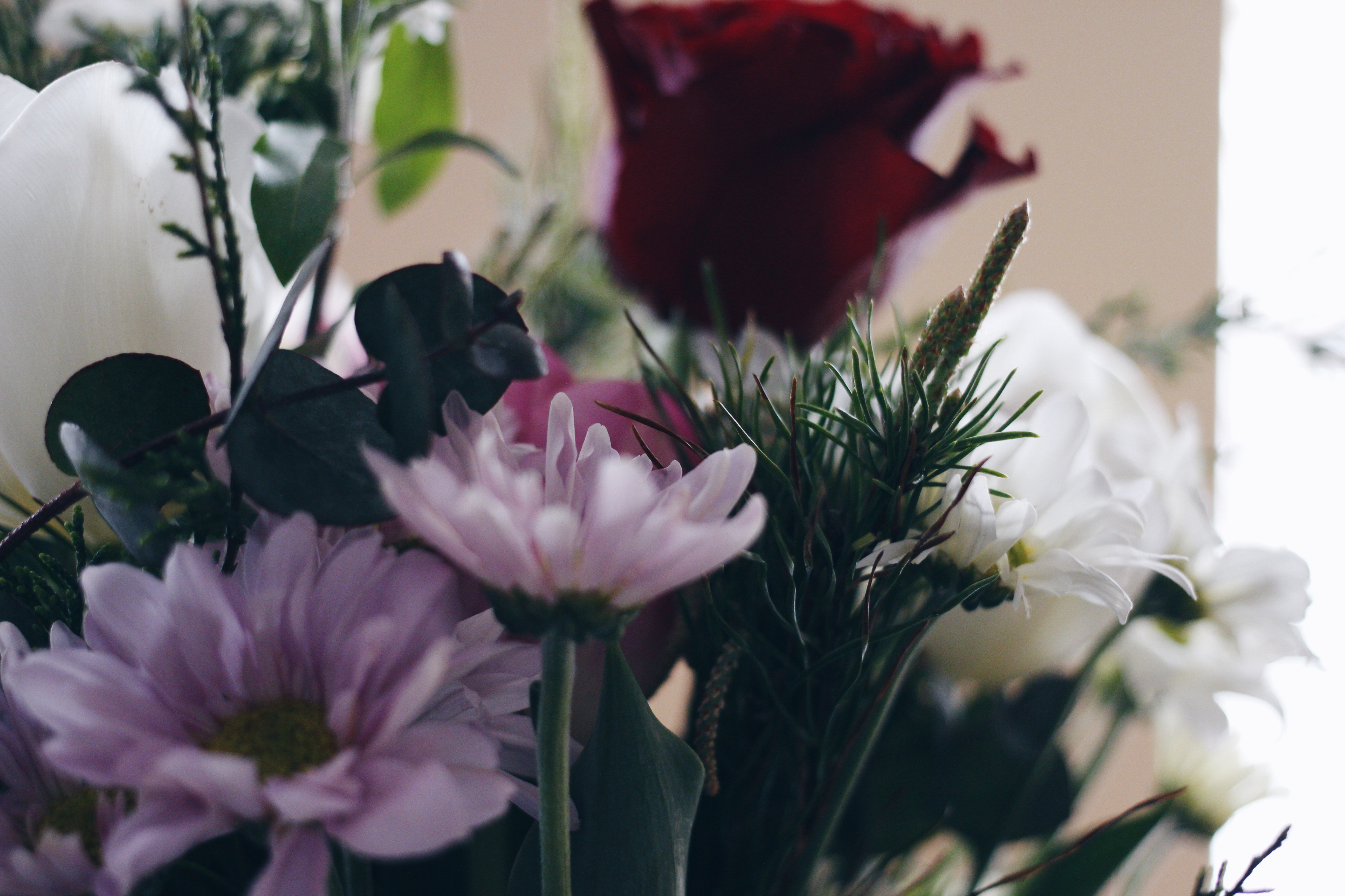 Laden Sie das Strauß, Komposition, Zusammensetzung, Bouquet, Blumen-Bild kostenlos auf Ihren PC-Desktop herunter