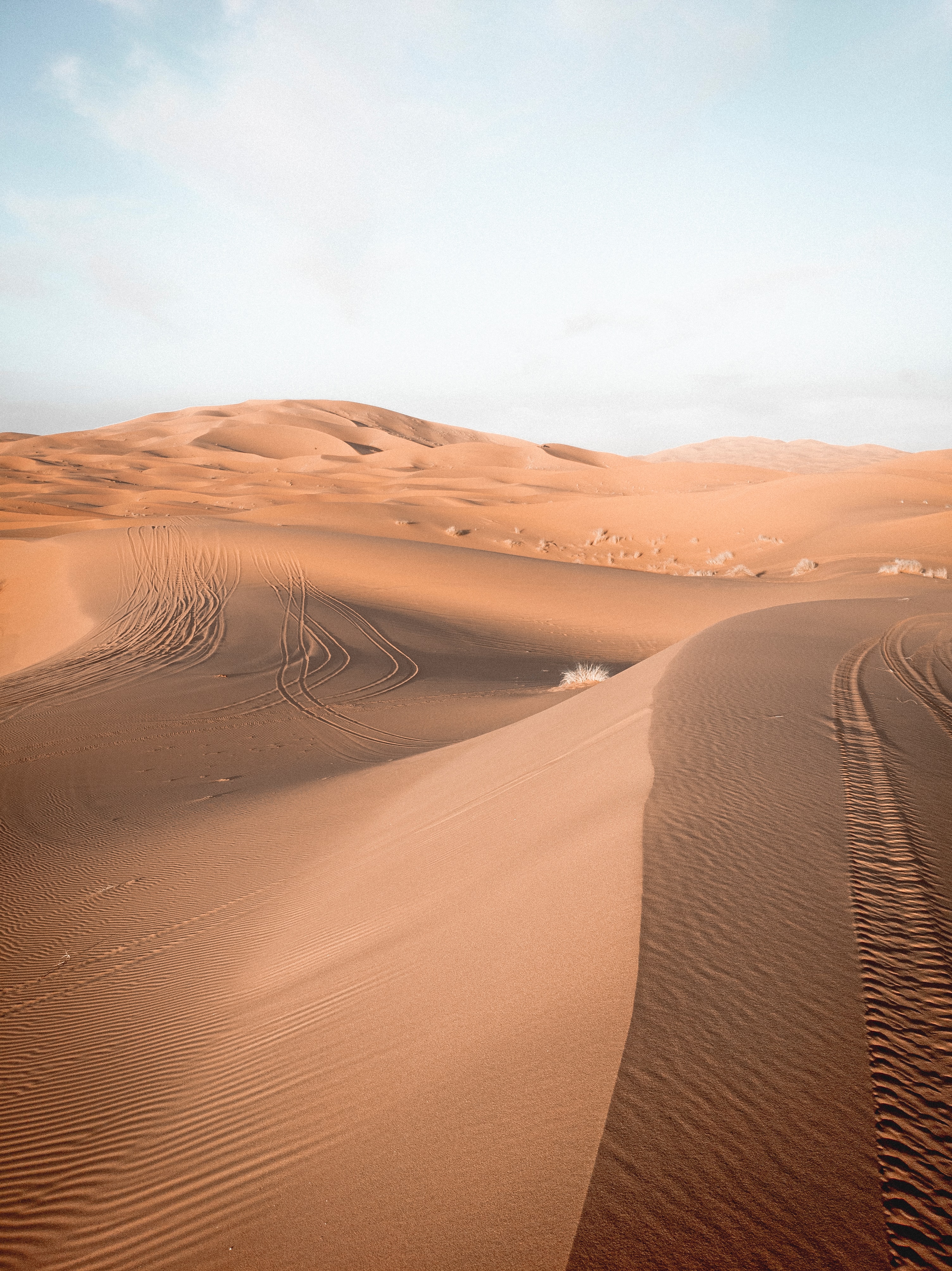 98839 descargar fondo de pantalla naturaleza, cielo, arena, desierto, huellas, rastros, dunas: protectores de pantalla e imágenes gratis