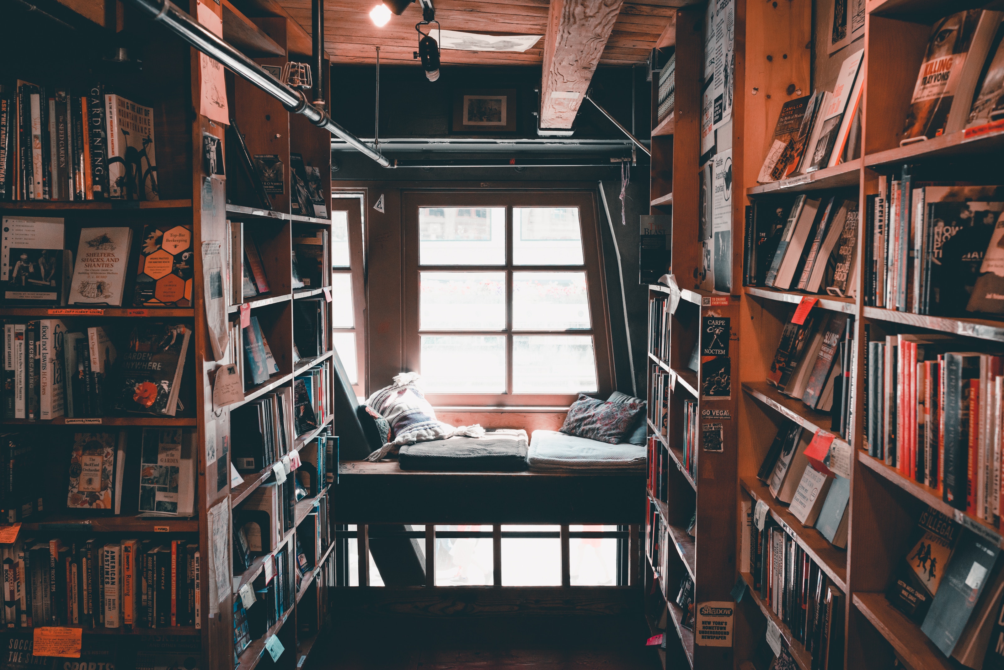 library, books, comfort, miscellanea, miscellaneous, coziness, reading, shelves