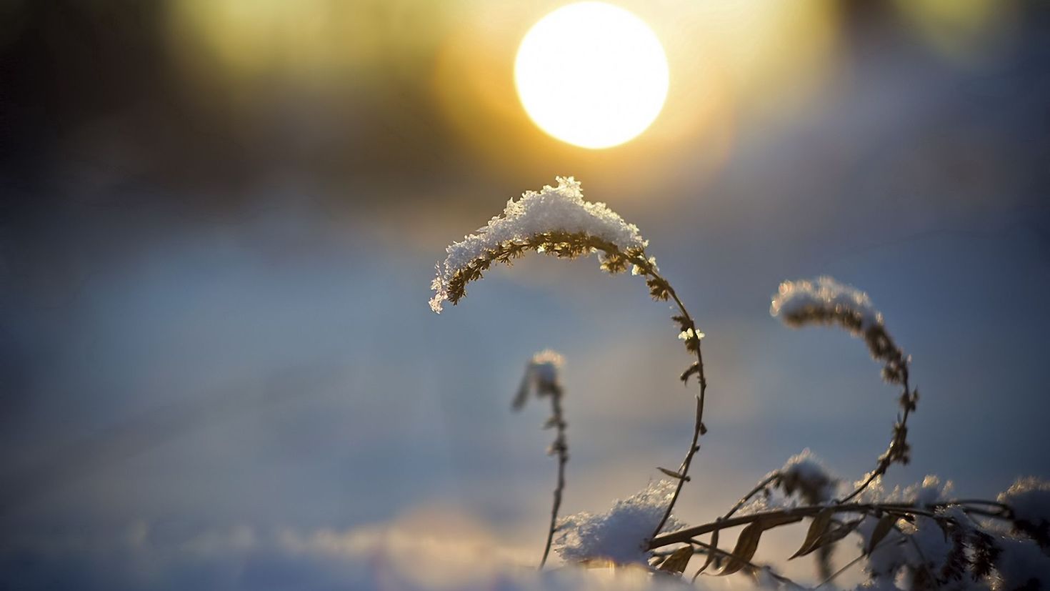 Март природа солнце. Весеннее солнышко. Снег и солнце.