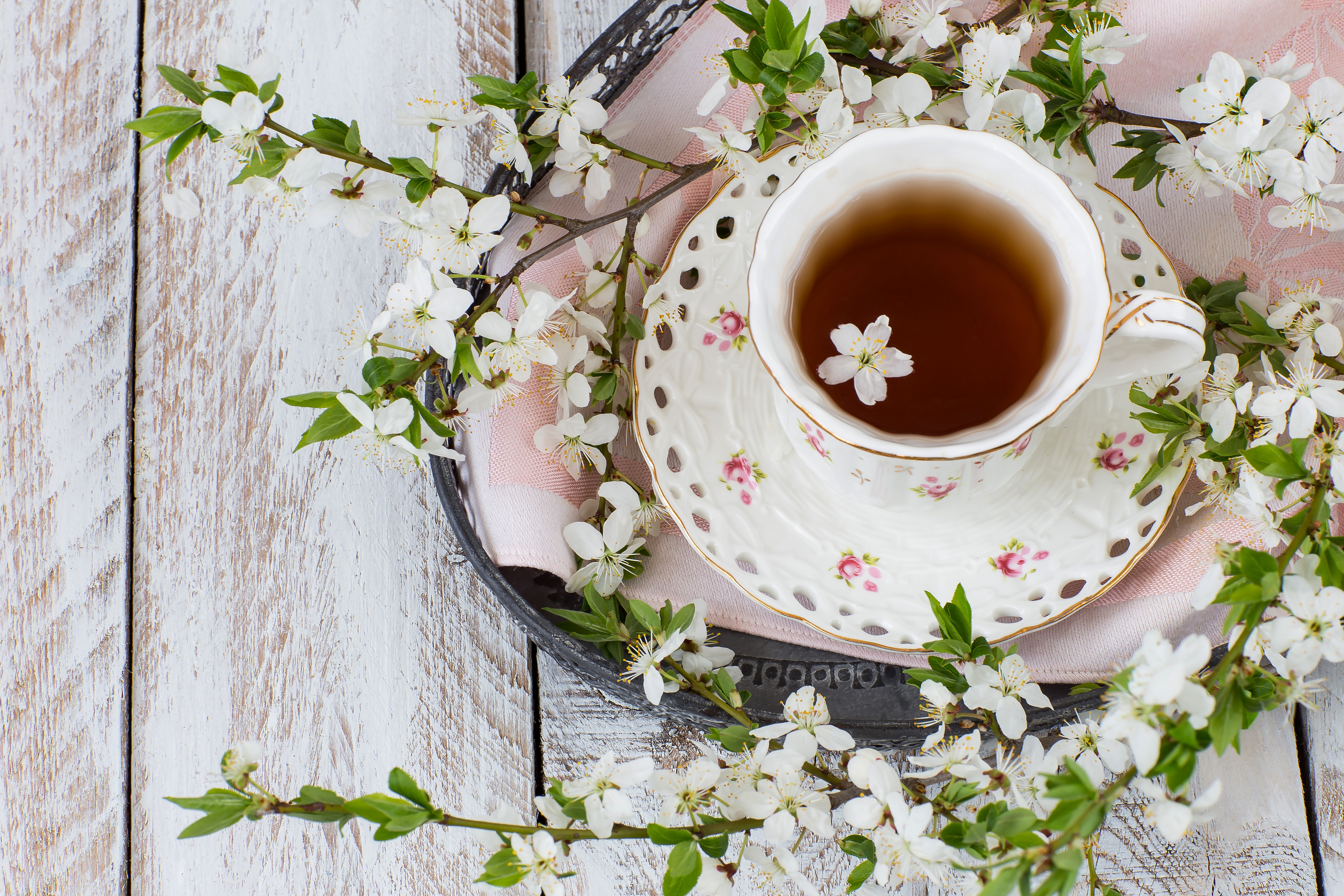 цветущий чай фото