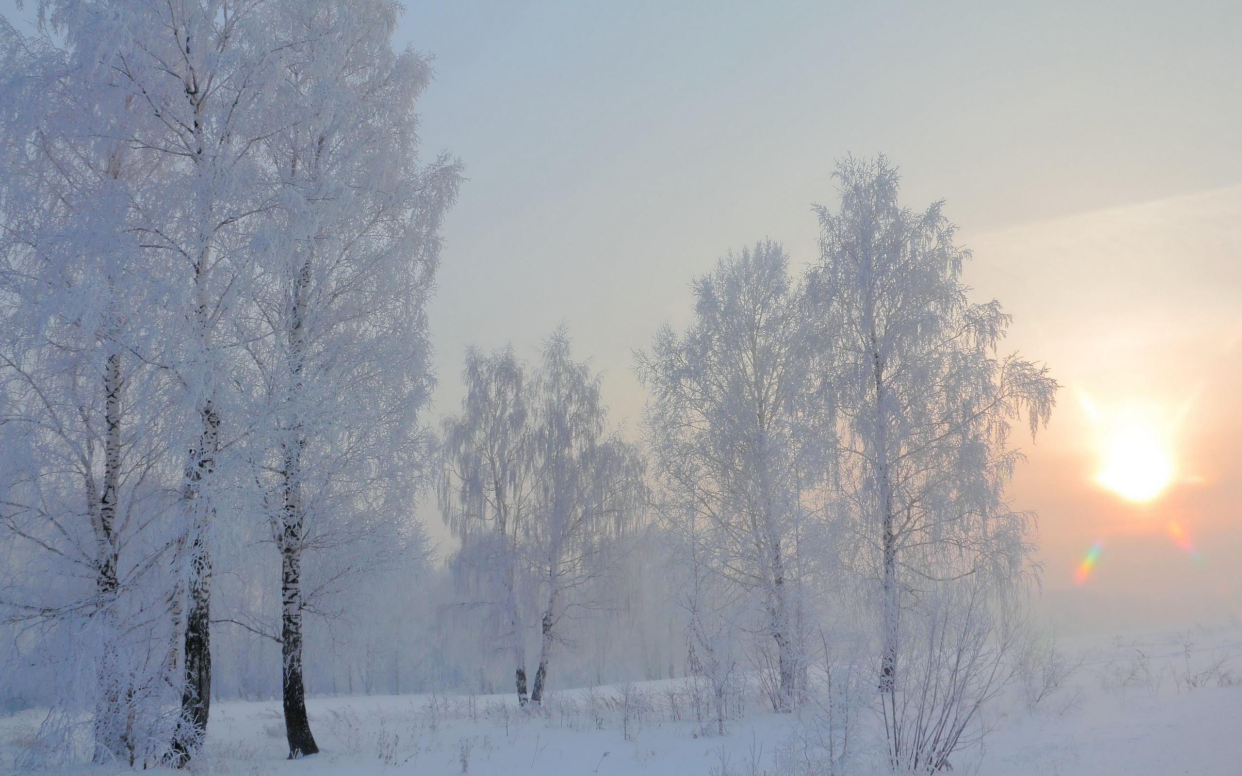 Snowy morning. Снежная равнина Есенин. Зимнее утро. Морозное солнечное утро. Морозное утро в лесу.