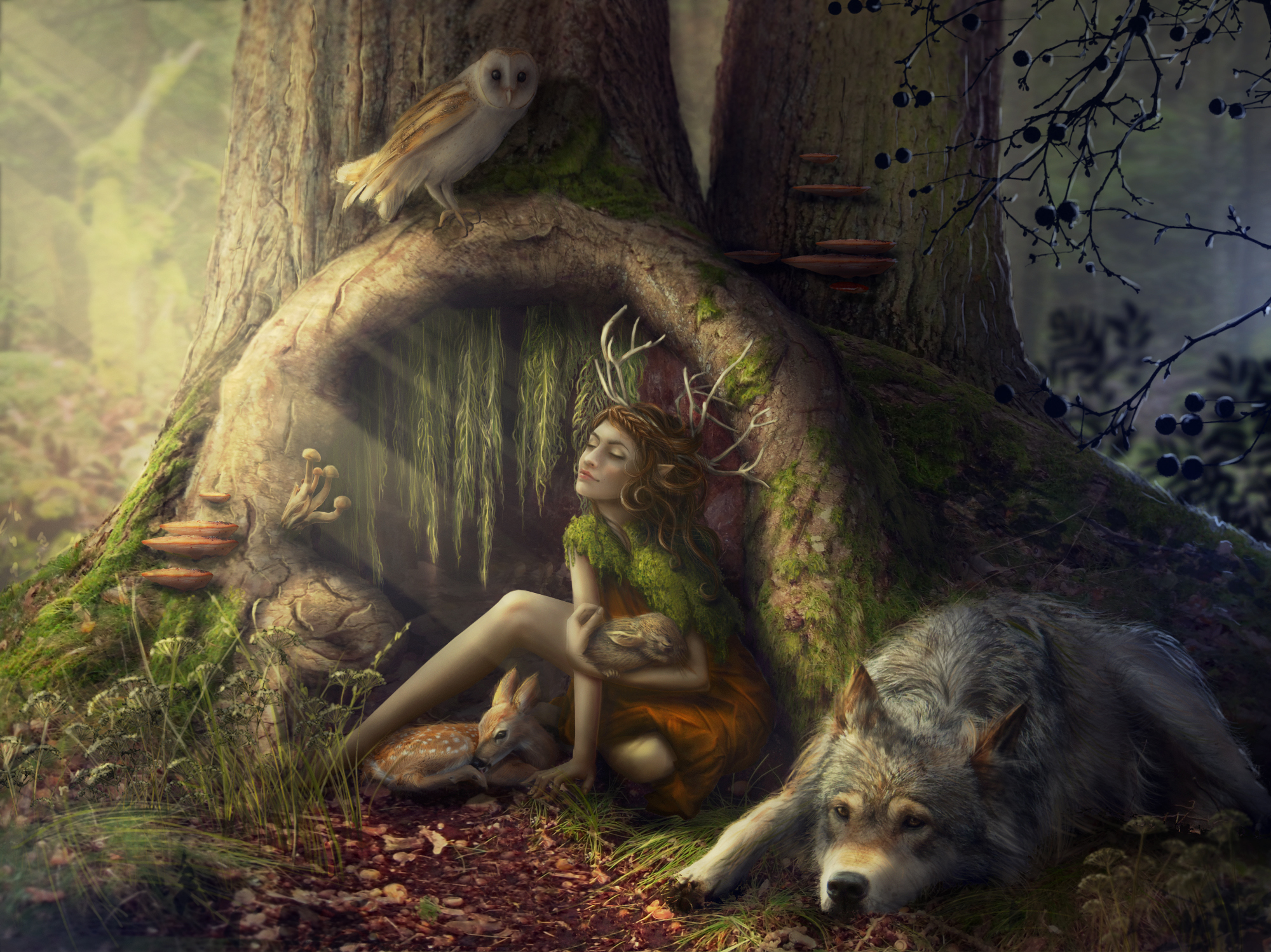 fawn, fantasy, forest, elf, owl, rabbit, tree, wolf