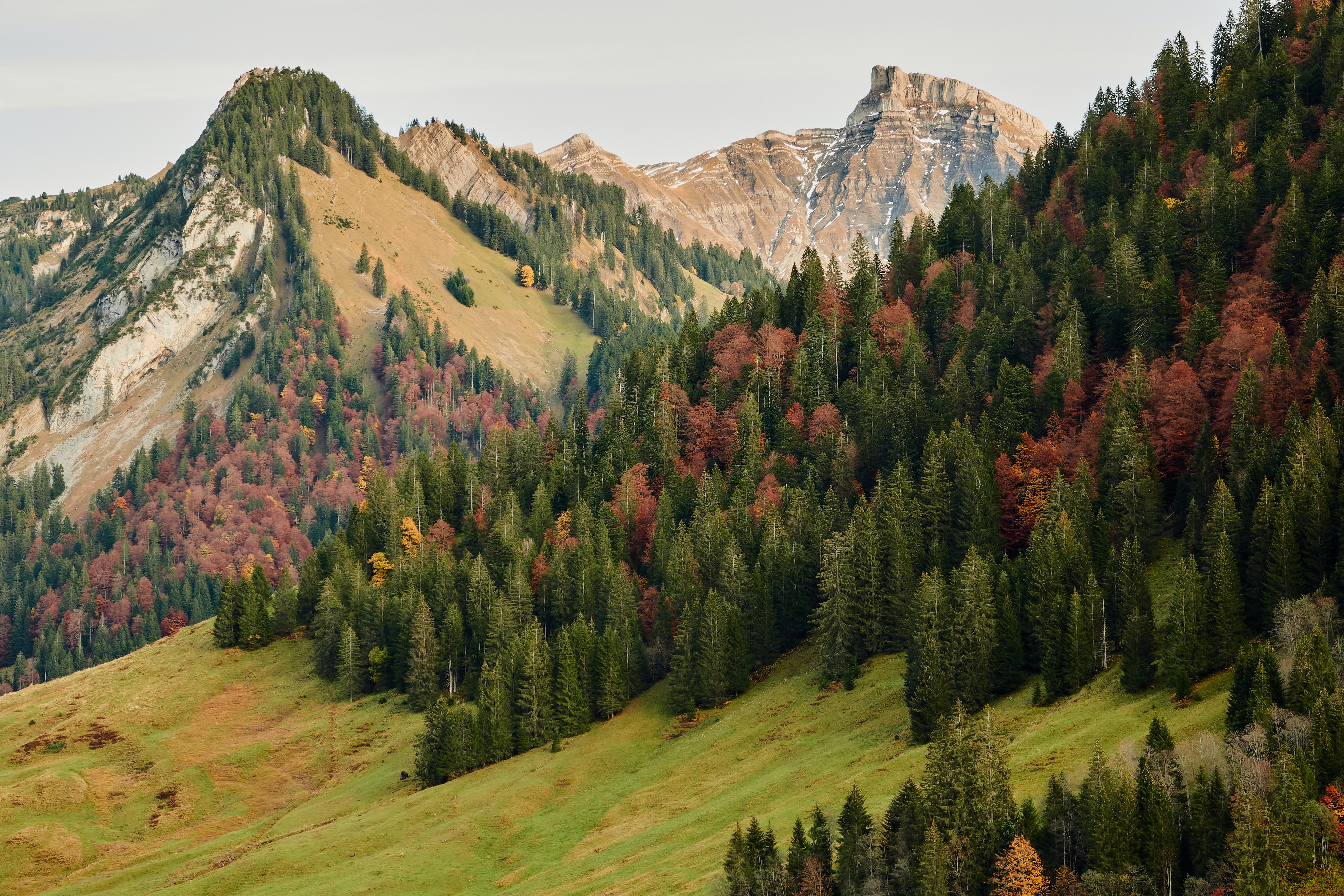 slope, nature, autumn, trees, mountains, forest