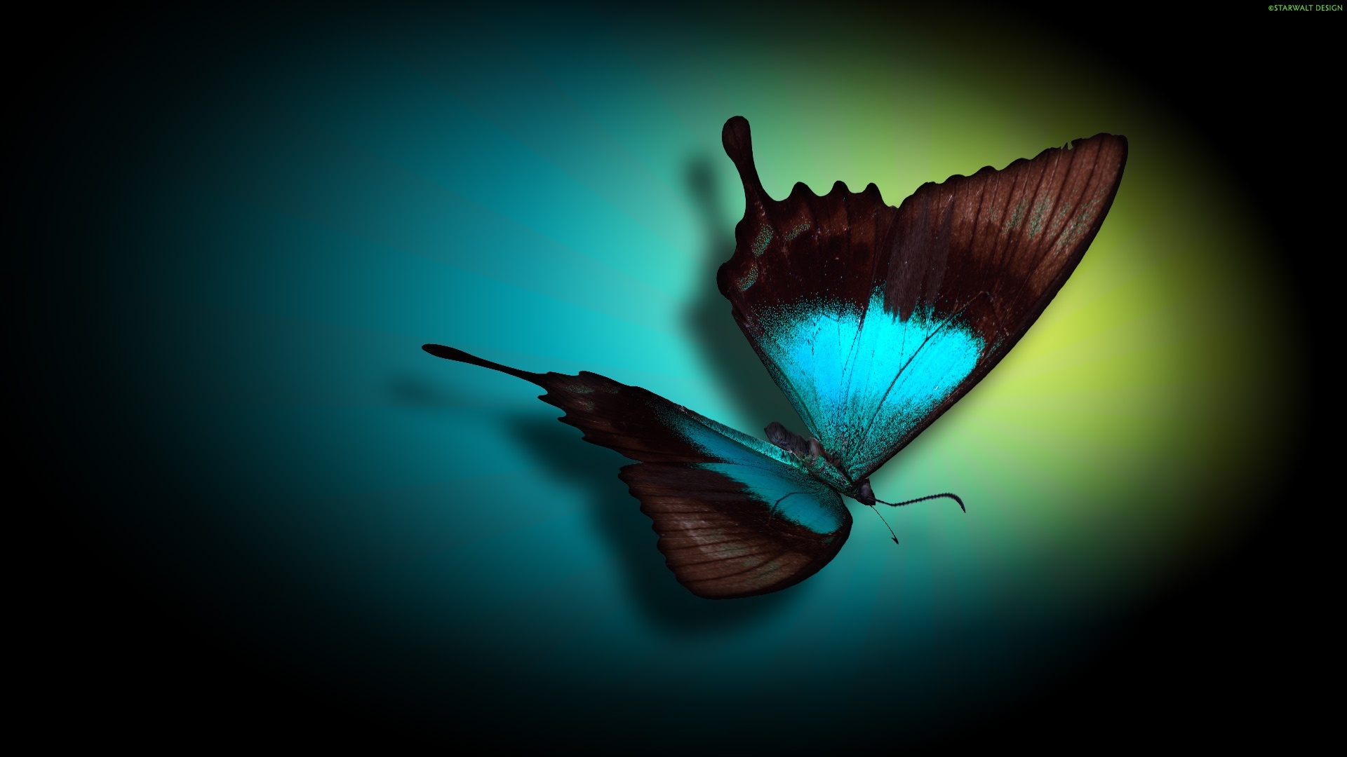 Картинка с бабочкой на аватарку в ВК