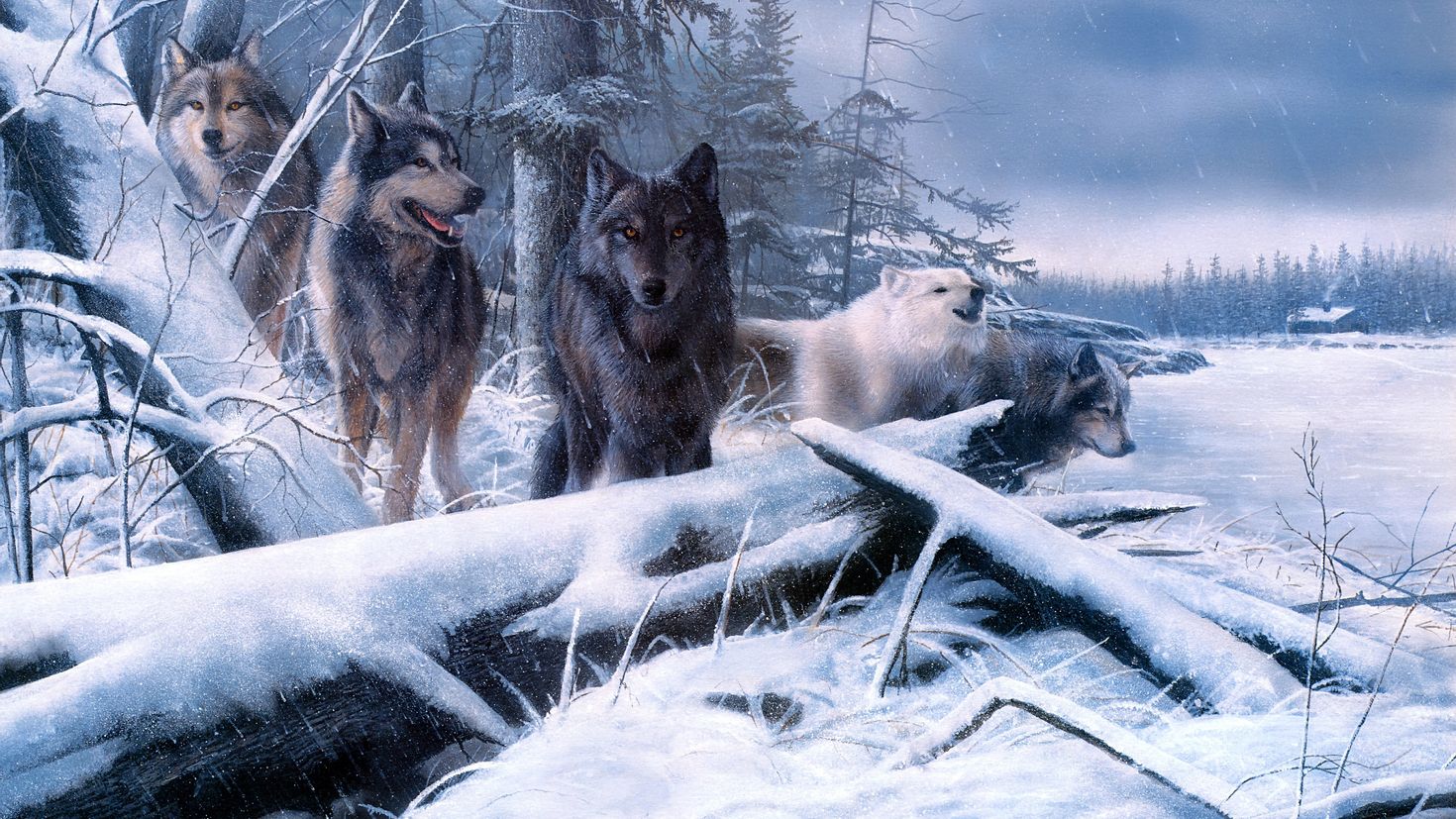 Живопись волки зимой