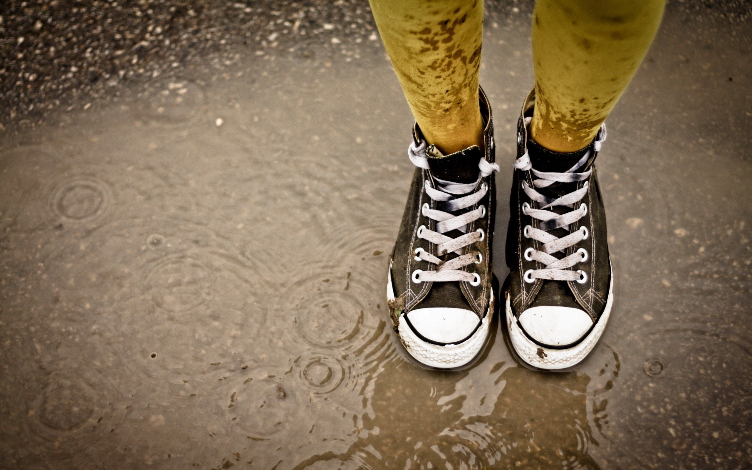 sneakers, products, converse, puddle, shoe