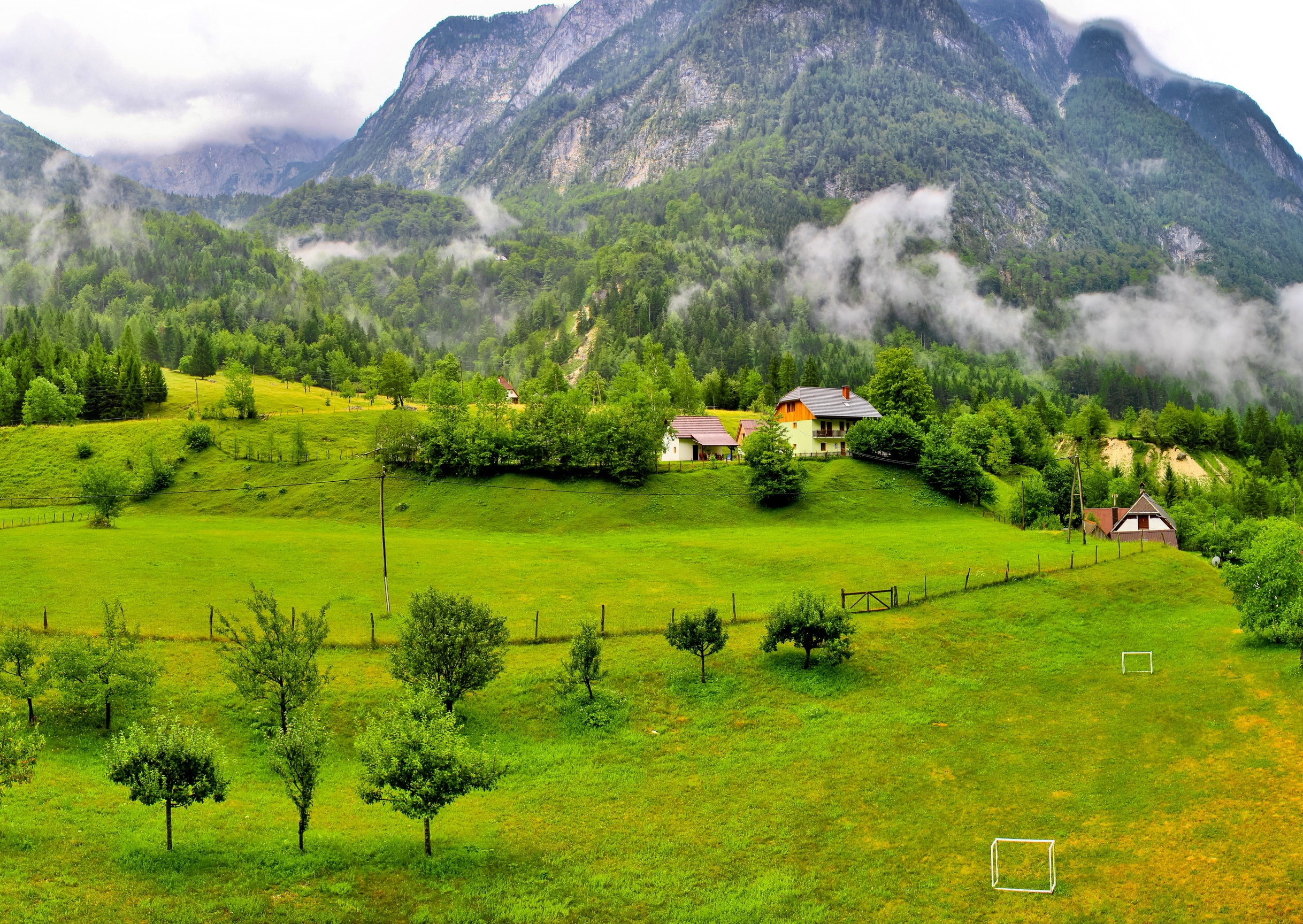 Laden Sie das Natur, Bäume, Mountains, Wald, Slowenien-Bild kostenlos auf Ihren PC-Desktop herunter