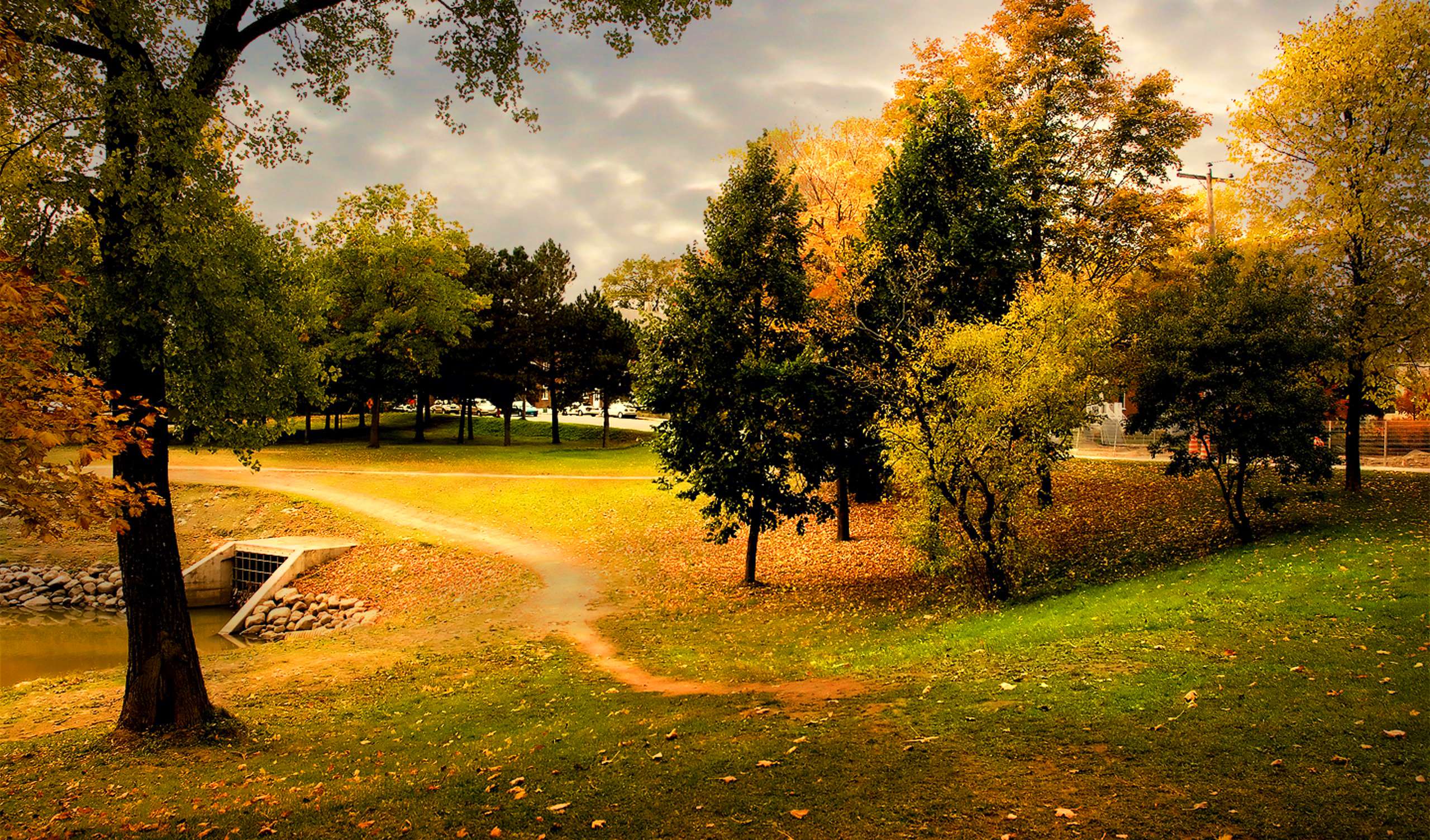 784017 baixar papel de parede fotografia, parque, outono, dourado, caminho, árvore, amarelo - protetores de tela e imagens gratuitamente