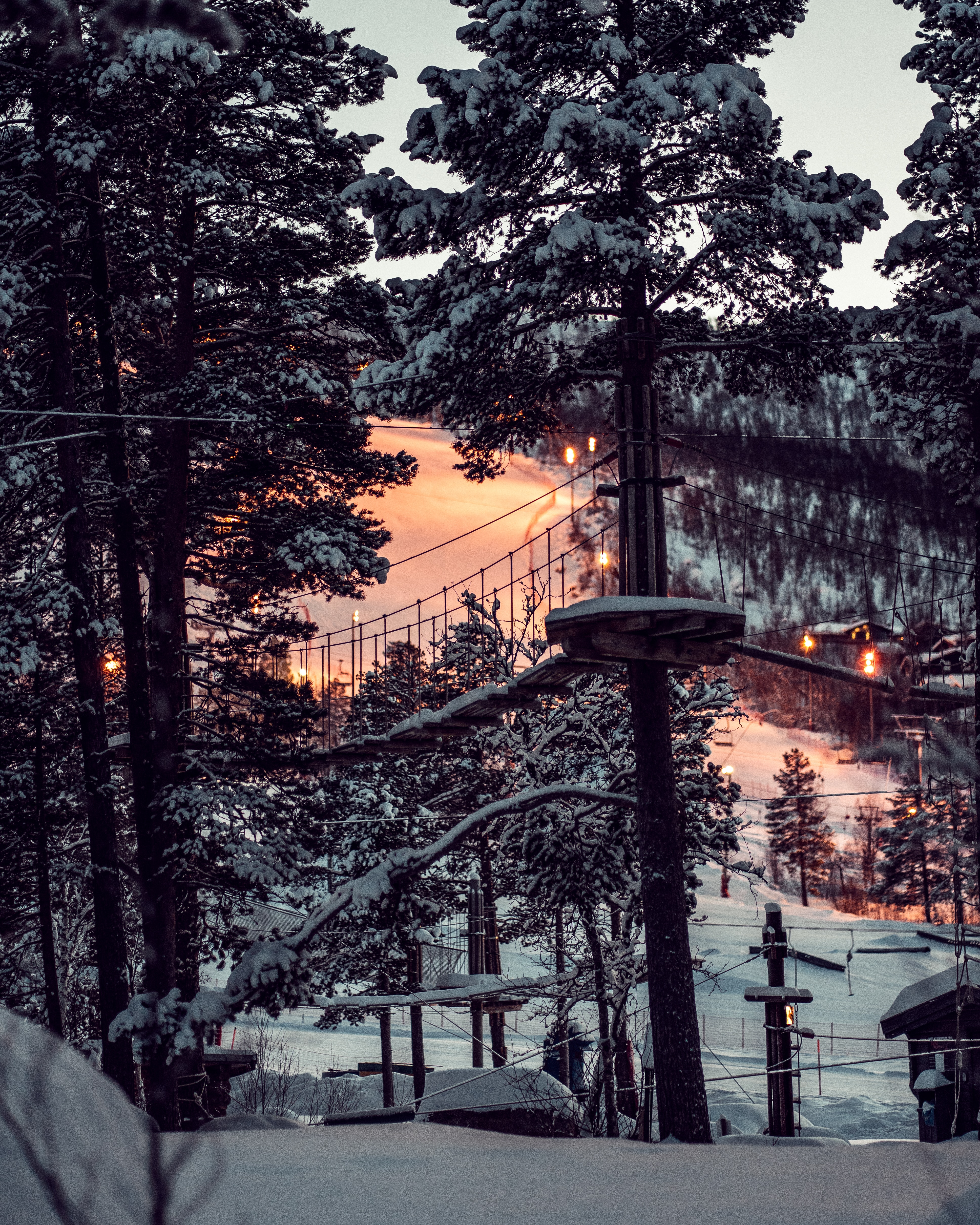 forest, structure, winter, nature, sunset, snow