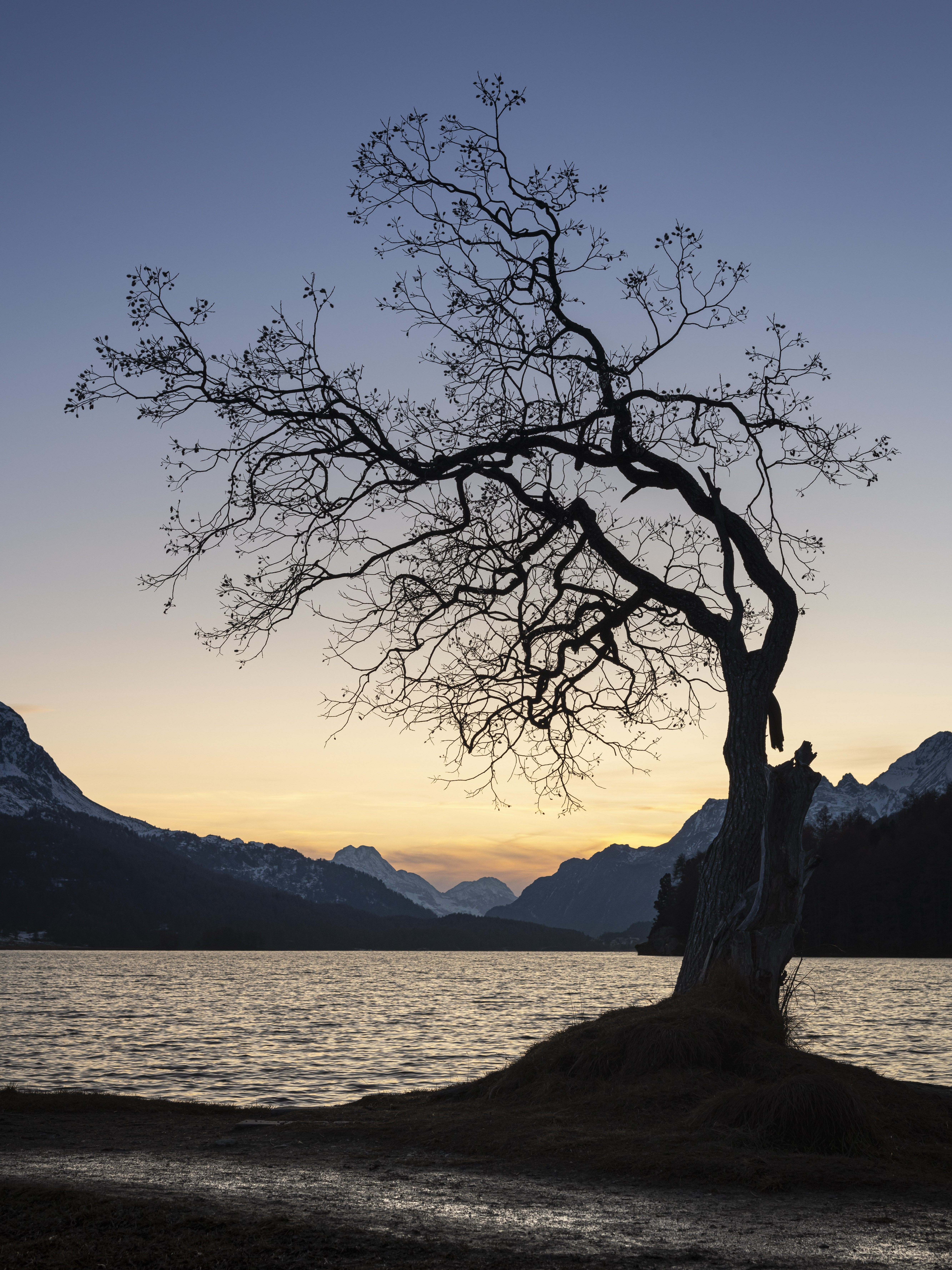 Скачать картинку Дерево, Сумерки, Горы, Озеро, Природа в телефон бесплатно.