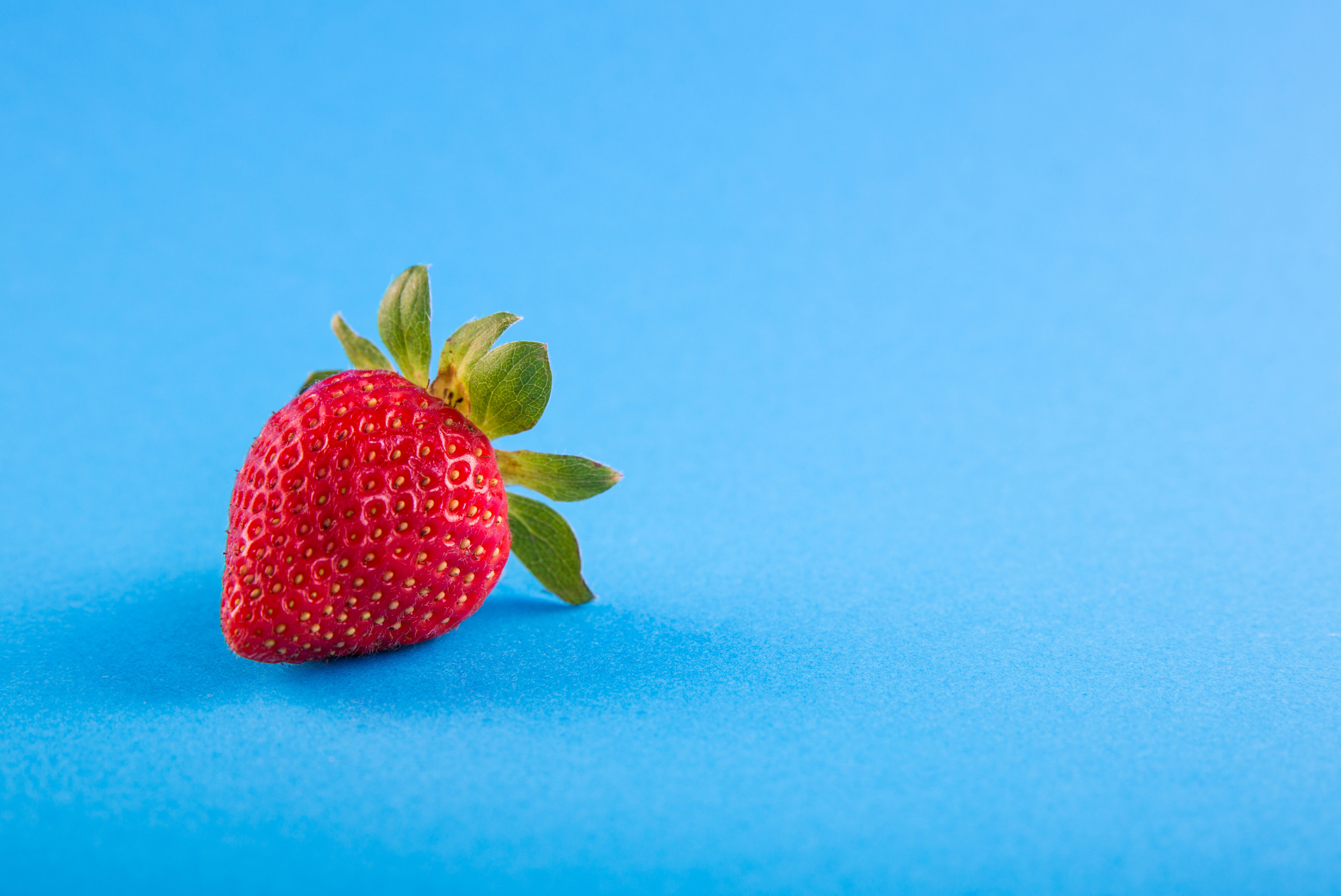 Download mobile wallpaper Berry, Strawberry, Blue Background, Minimalism for free.