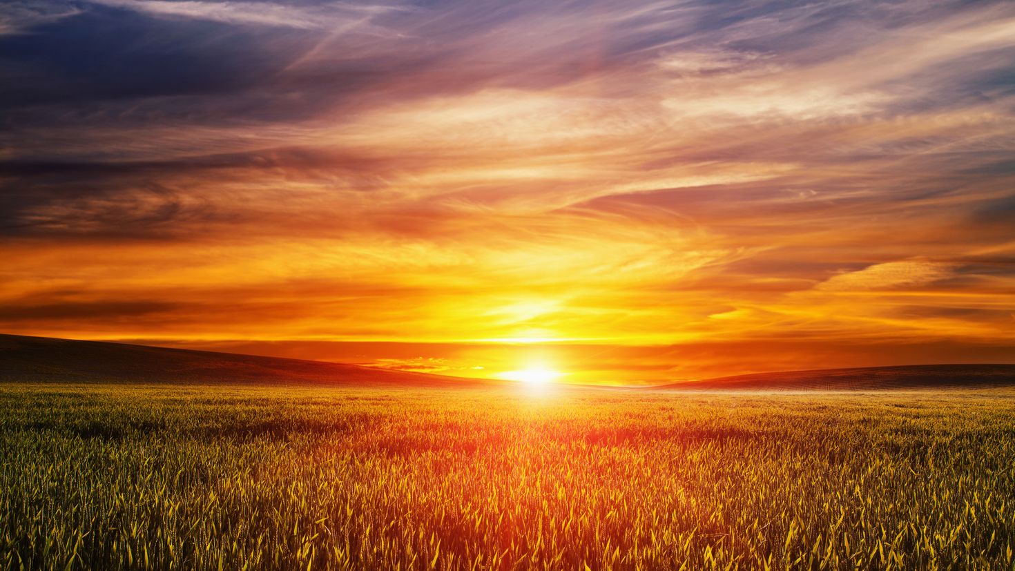 Всходит солнце над землею с каждым днем. Красивый рассвет. Красивый Восход. Рассвет солнца. Закат в поле.