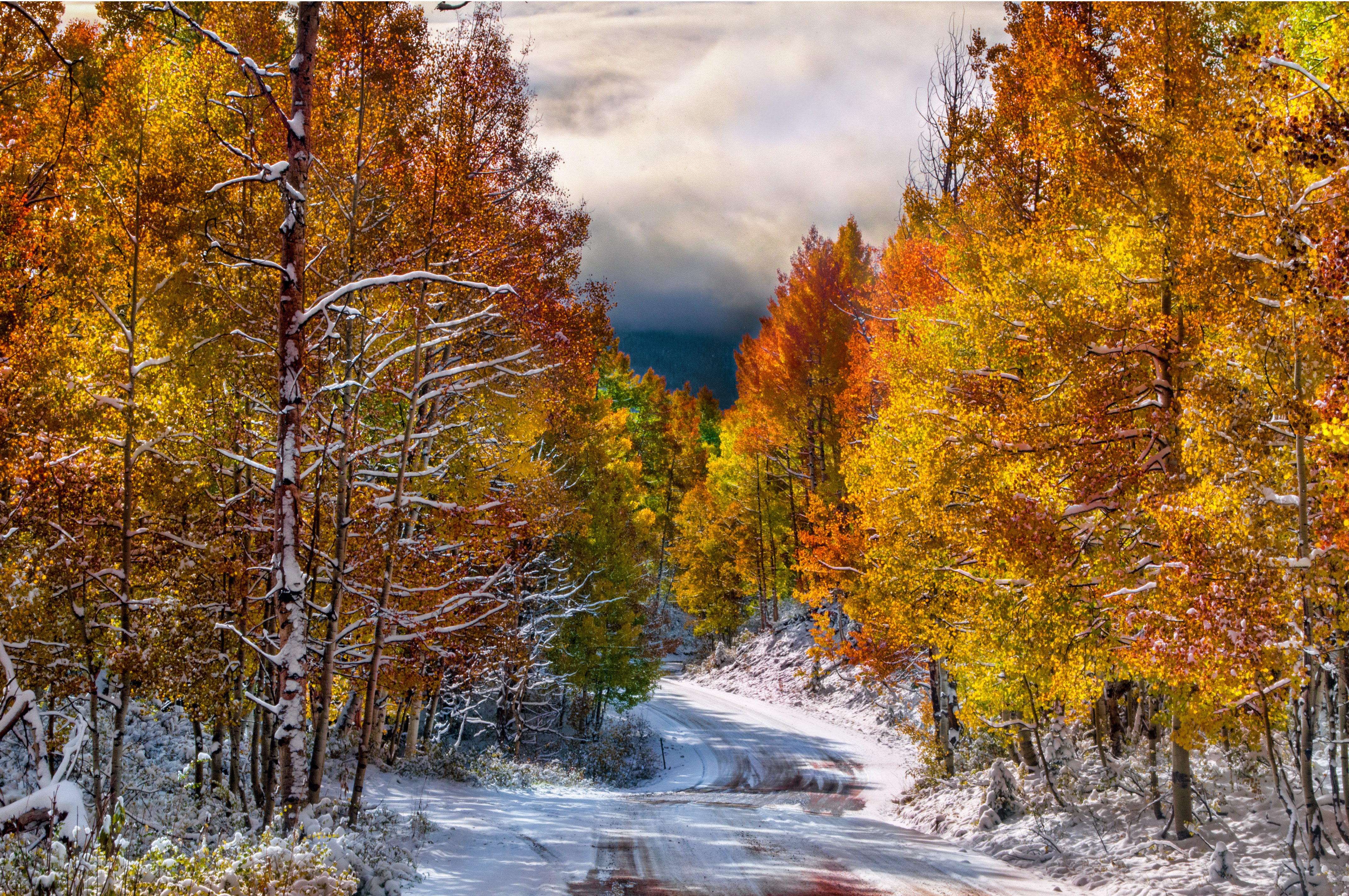 Природа в ноябре. Снежная осень. Осень первый снег. Осенние пейзажи первый снег. Осенний лес в ноябре.